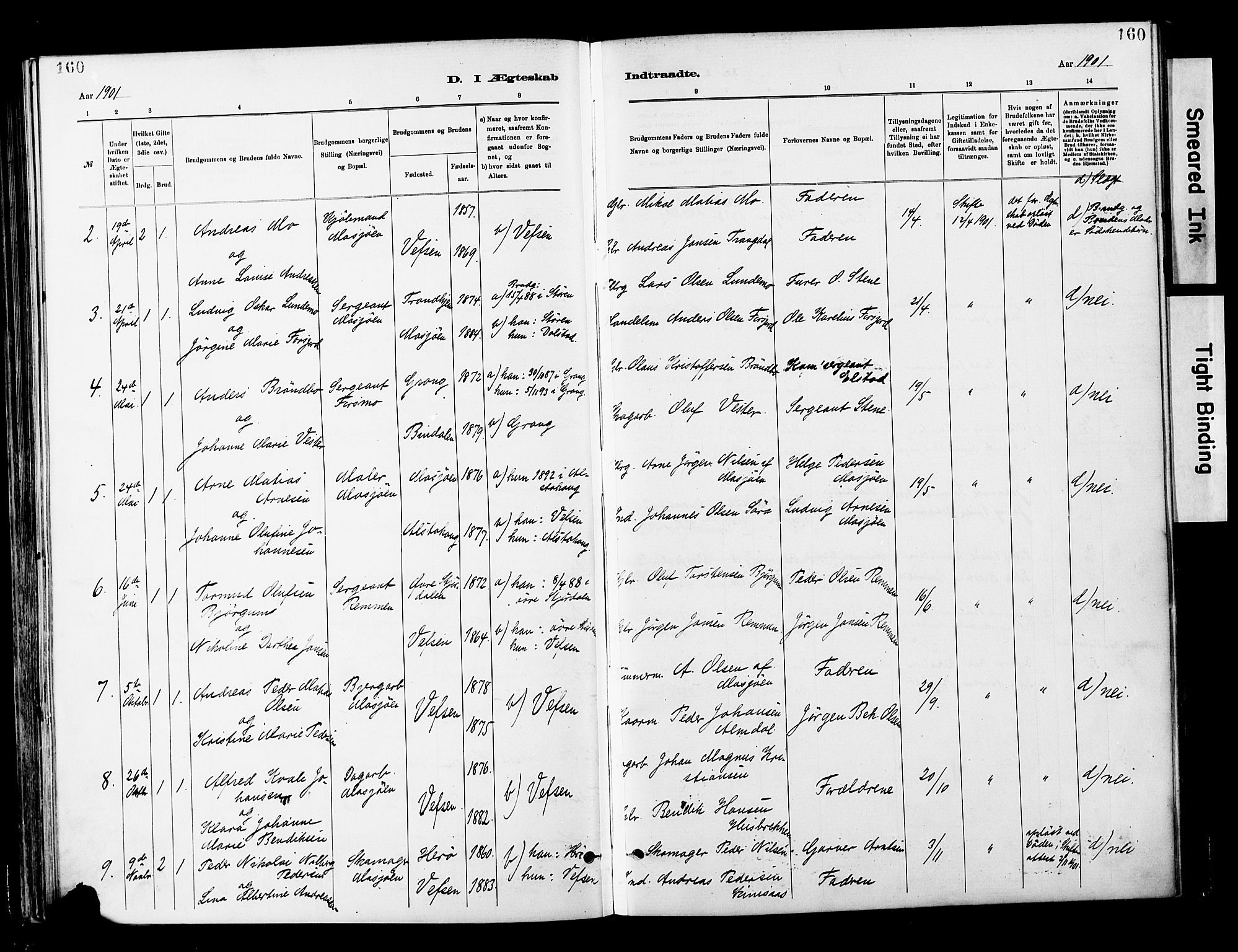 Ministerialprotokoller, klokkerbøker og fødselsregistre - Nordland, SAT/A-1459/820/L0296: Parish register (official) no. 820A17, 1880-1903, p. 160