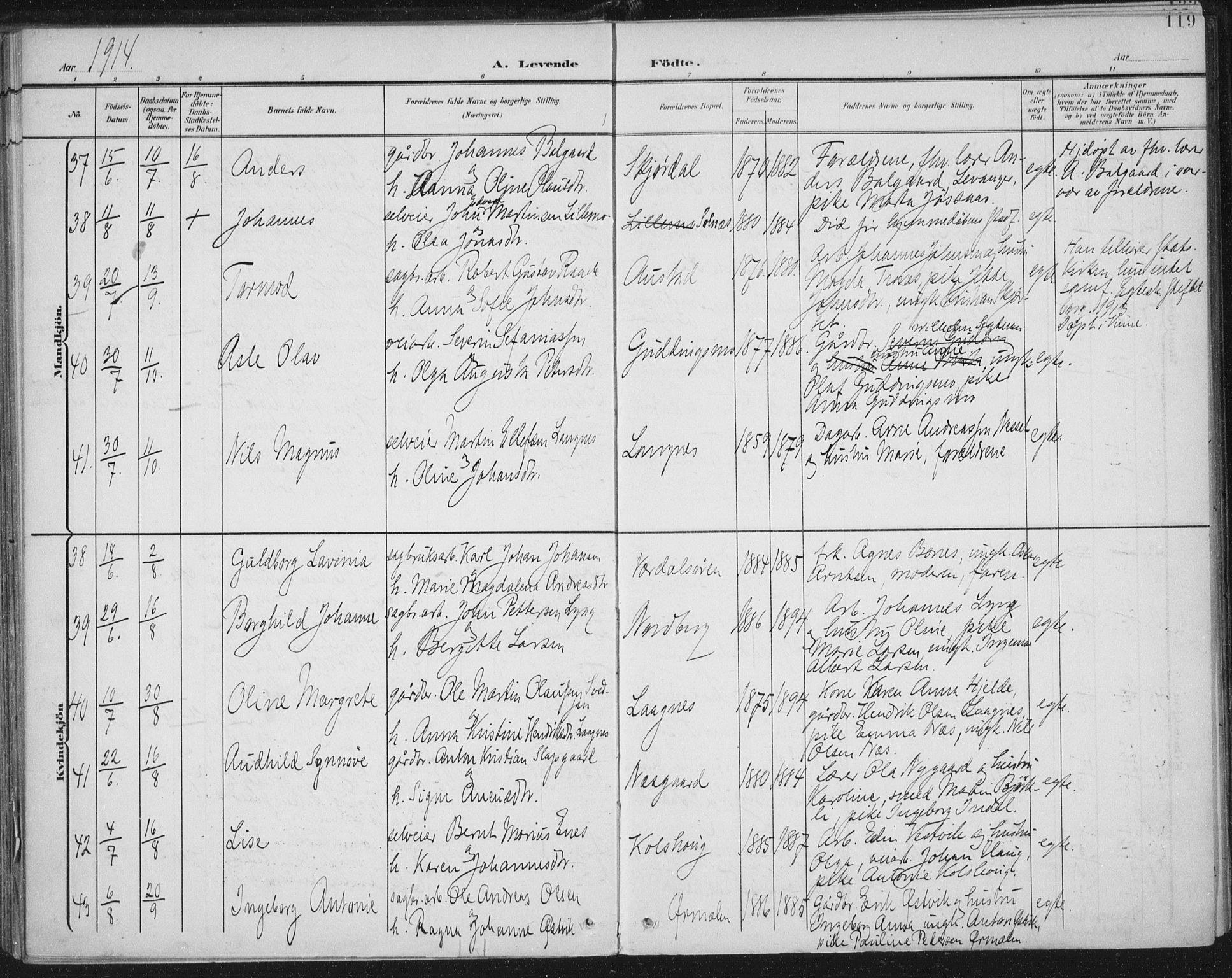 Ministerialprotokoller, klokkerbøker og fødselsregistre - Nord-Trøndelag, AV/SAT-A-1458/723/L0246: Parish register (official) no. 723A15, 1900-1917, p. 119