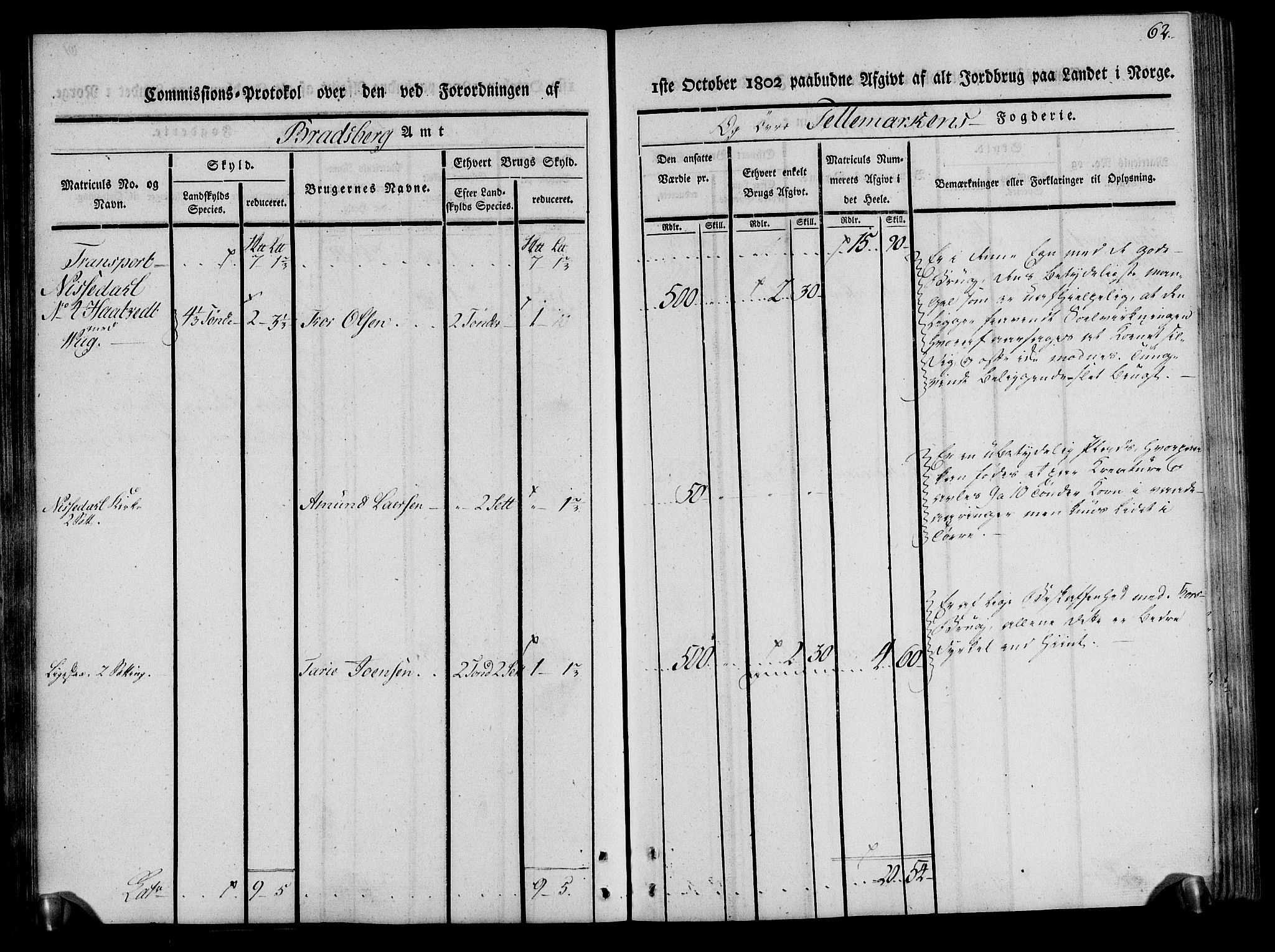 Rentekammeret inntil 1814, Realistisk ordnet avdeling, RA/EA-4070/N/Ne/Nea/L0075: Øvre Telemarken fogderi. Kommisjonsprotokoll for fogderiets vestre del - Kviteseid, Vinje, Moland [):Fyresdal] og Lårdal prestegjeld., 1803, p. 62