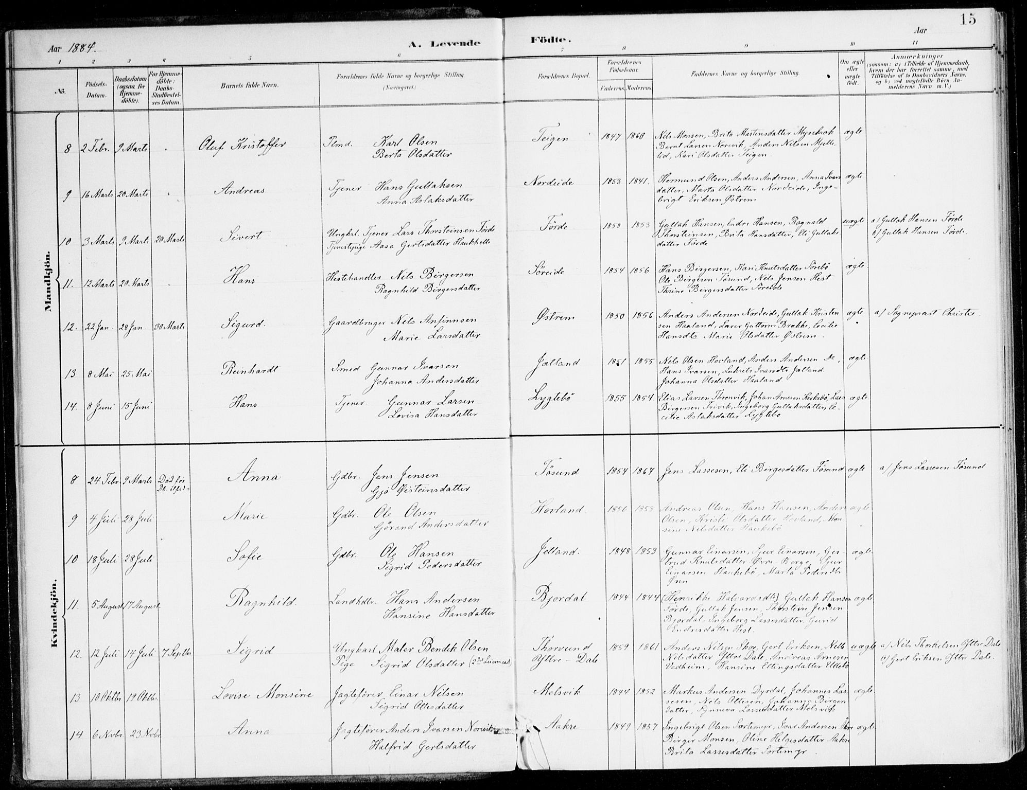 Lavik sokneprestembete, AV/SAB-A-80901: Parish register (official) no. C 1, 1882-1904, p. 15