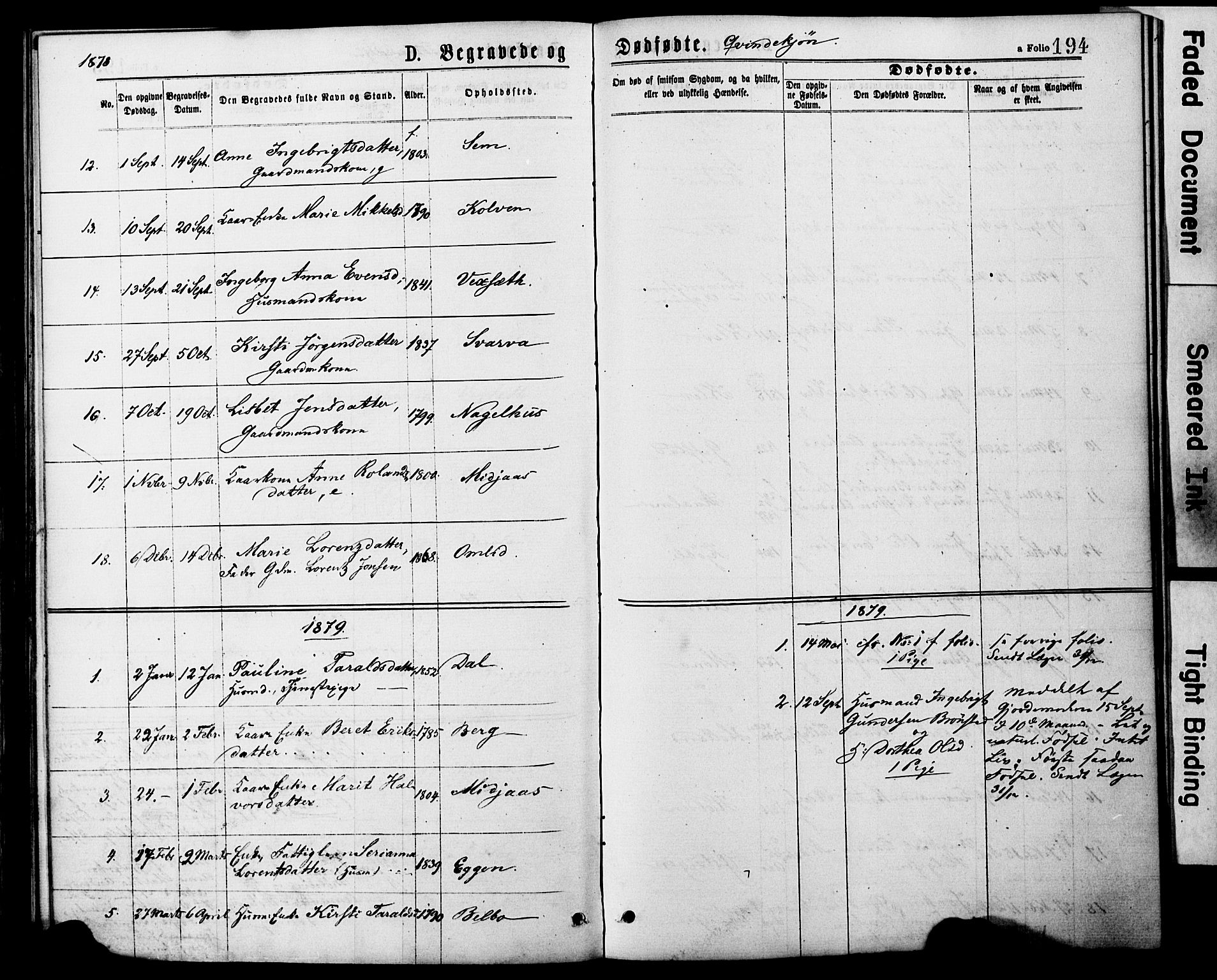 Ministerialprotokoller, klokkerbøker og fødselsregistre - Nord-Trøndelag, AV/SAT-A-1458/749/L0473: Parish register (official) no. 749A07, 1873-1887, p. 194