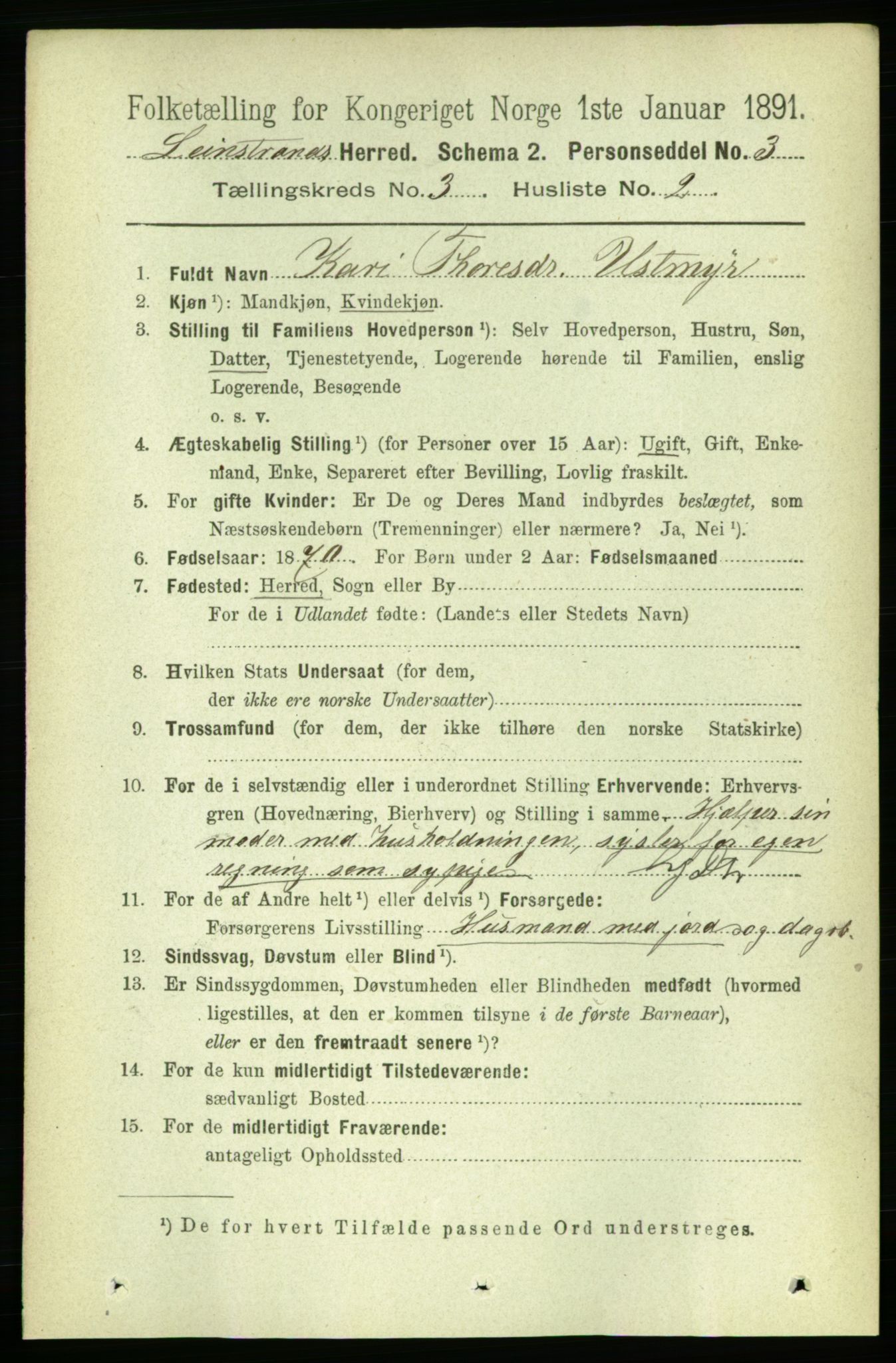 RA, 1891 census for 1654 Leinstrand, 1891, p. 1013