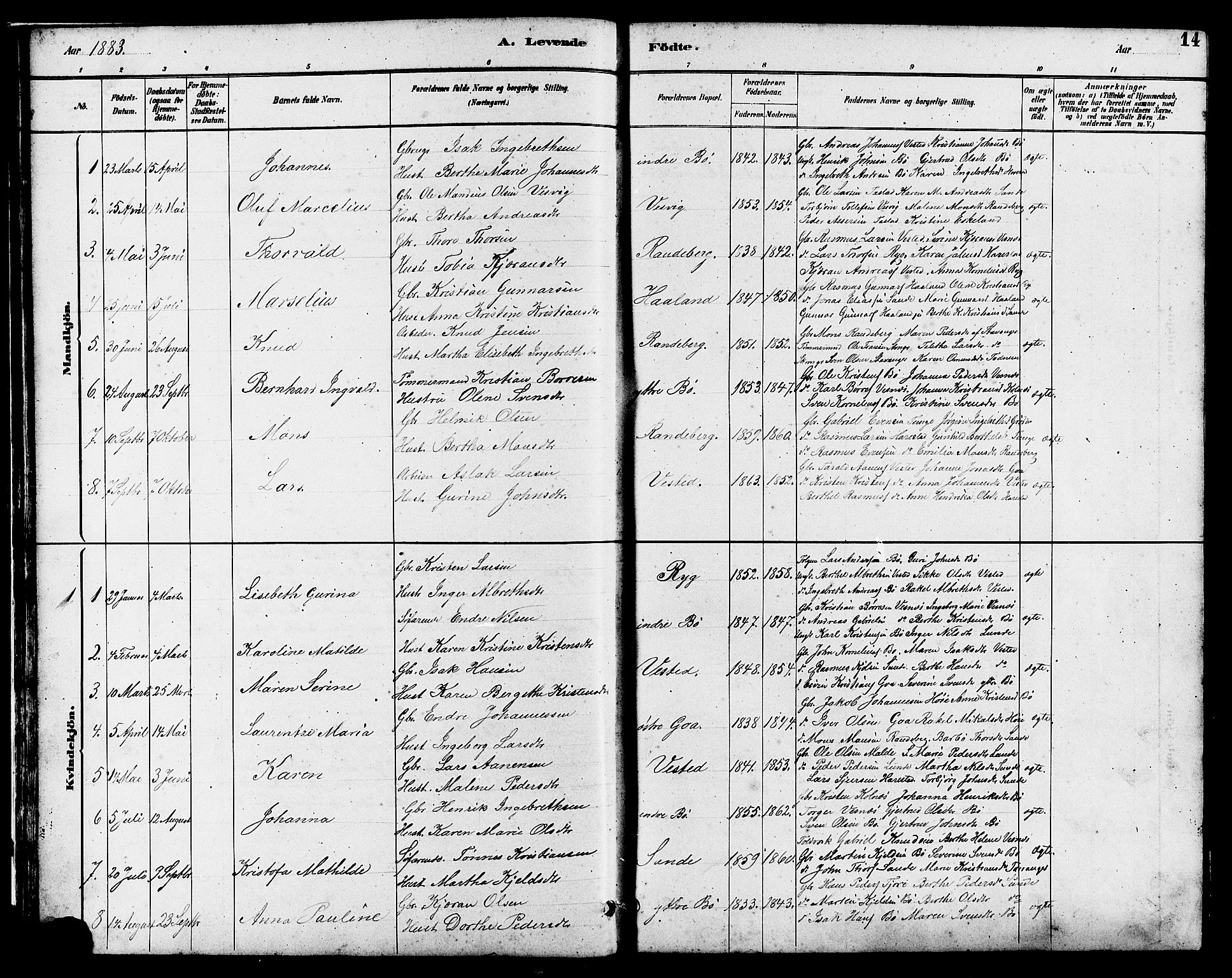 Hetland sokneprestkontor, SAST/A-101826/30/30BB/L0006: Parish register (copy) no. B 6, 1878-1921, p. 14