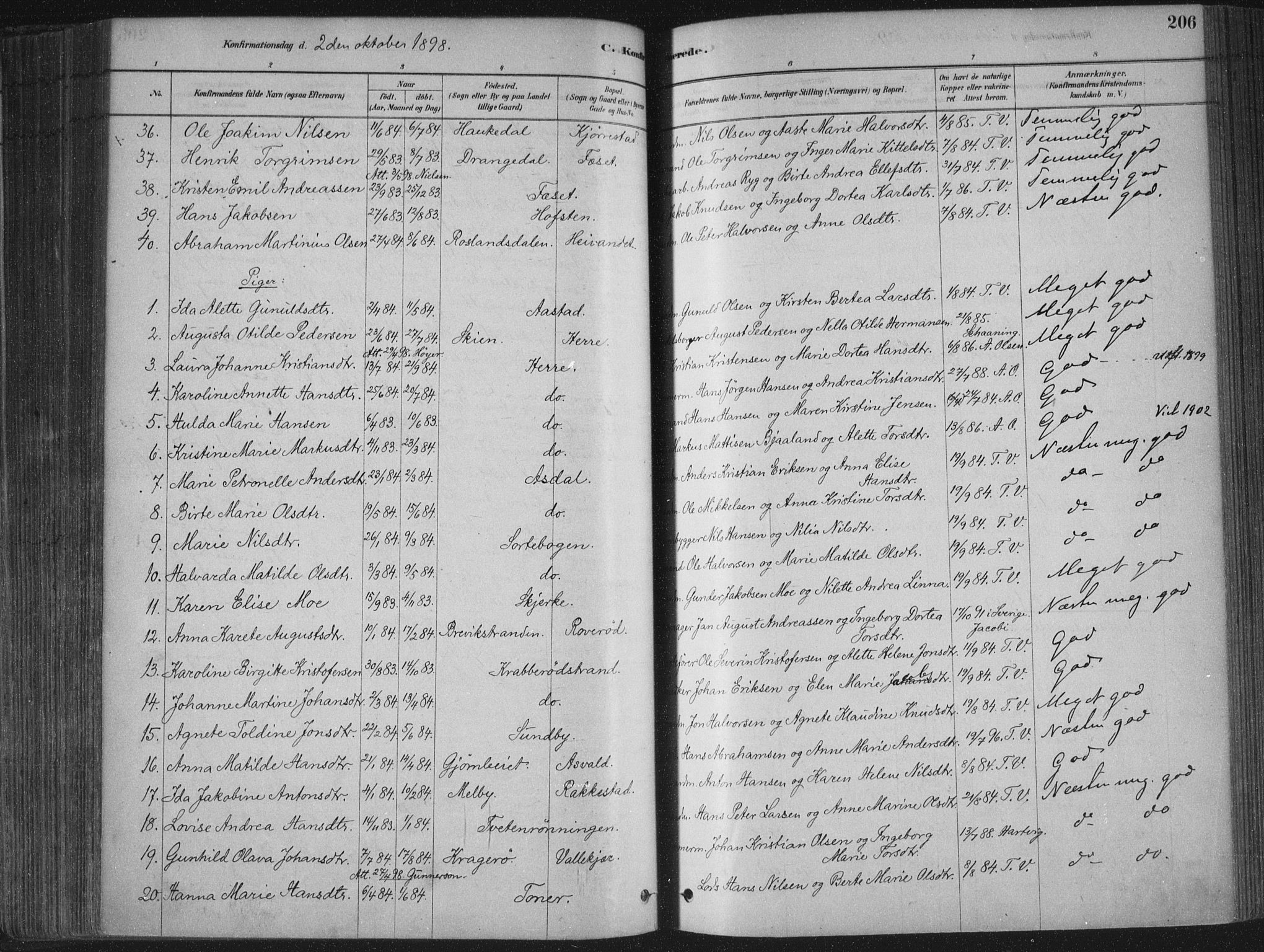 Bamble kirkebøker, SAKO/A-253/F/Fa/L0007: Parish register (official) no. I 7, 1878-1888, p. 206