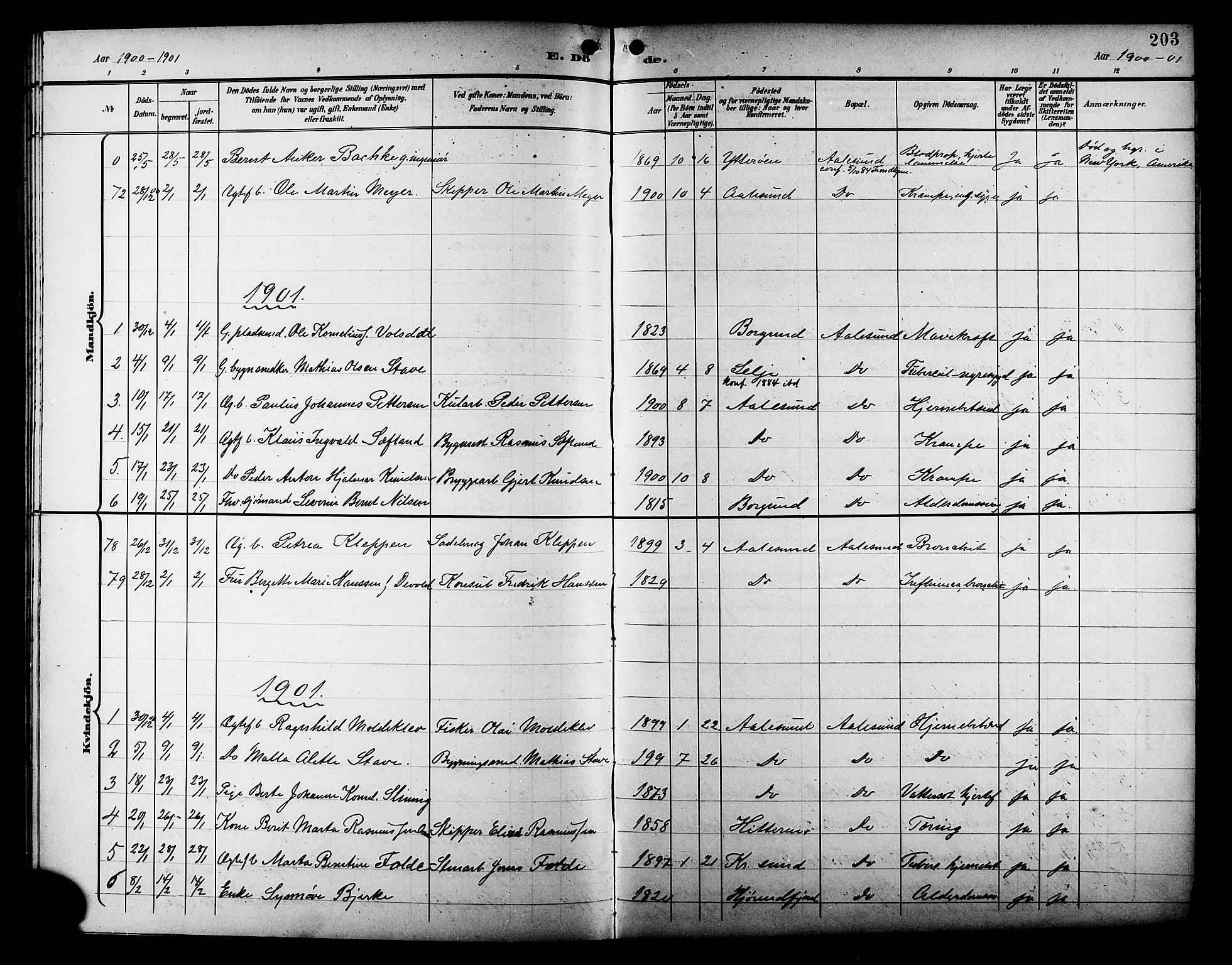 Ministerialprotokoller, klokkerbøker og fødselsregistre - Møre og Romsdal, AV/SAT-A-1454/529/L0469: Parish register (copy) no. 529C06, 1898-1906, p. 203