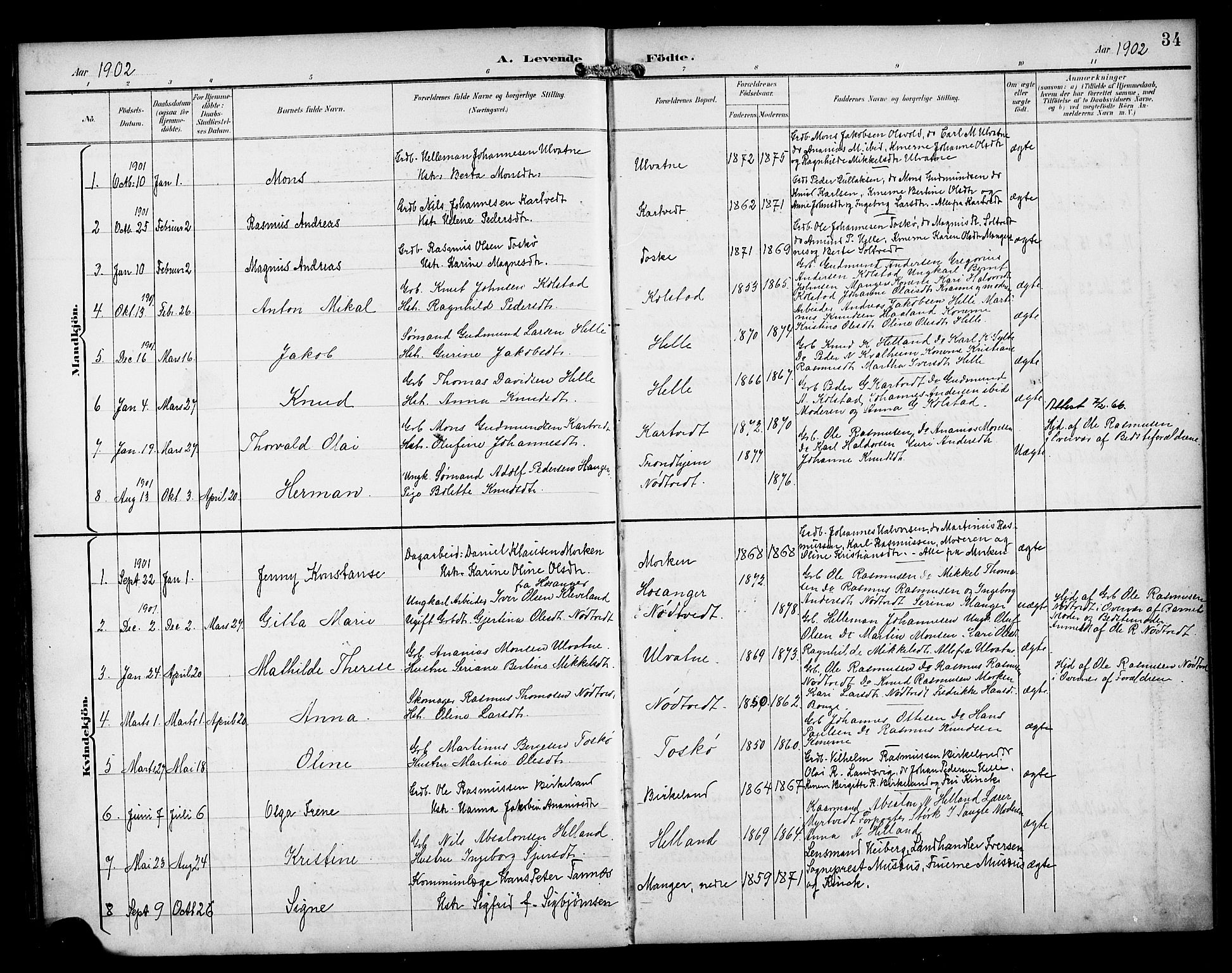 Manger sokneprestembete, AV/SAB-A-76801/H/Haa: Parish register (official) no. B 2, 1893-1906, p. 34