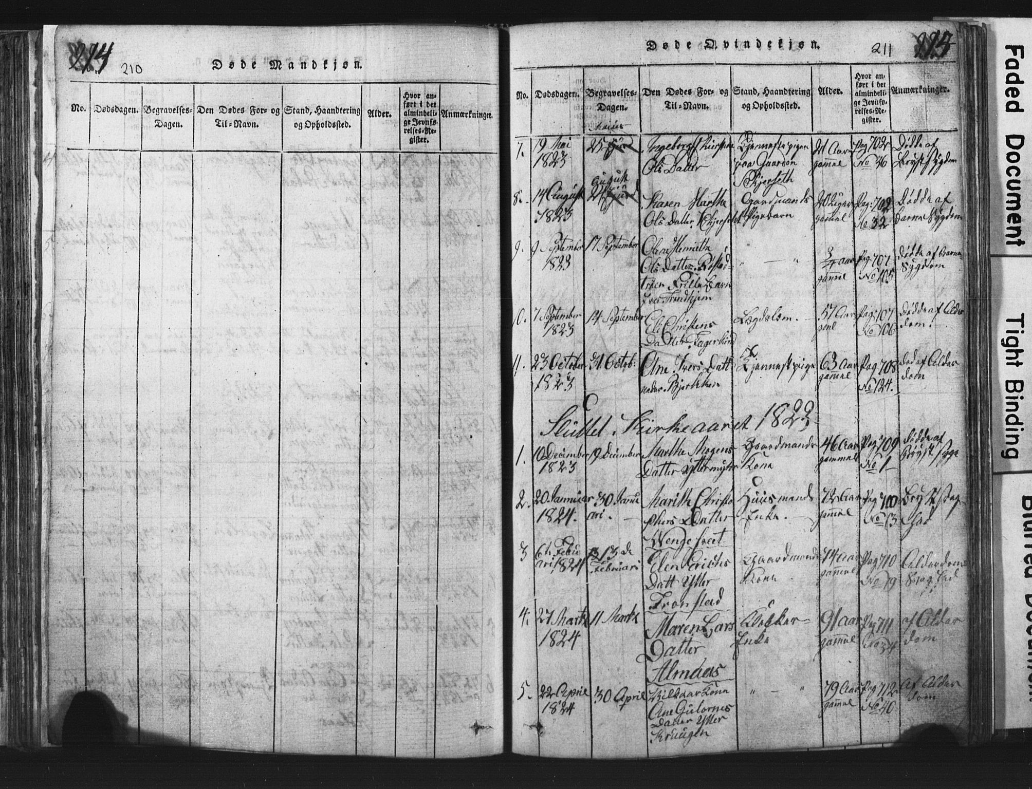 Ministerialprotokoller, klokkerbøker og fødselsregistre - Nord-Trøndelag, SAT/A-1458/701/L0017: Parish register (copy) no. 701C01, 1817-1825, p. 210-211