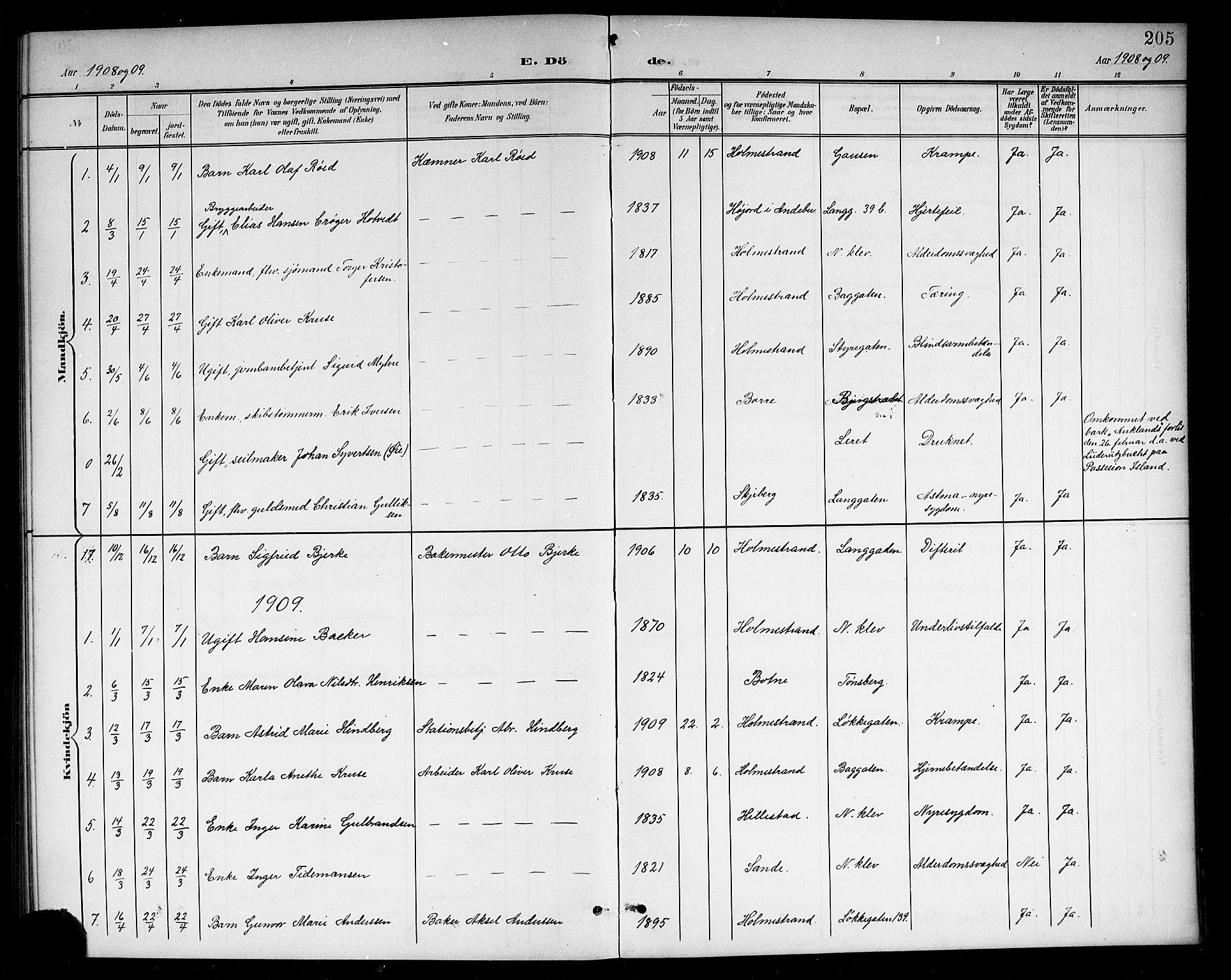 Holmestrand kirkebøker, AV/SAKO-A-346/G/Ga/L0006: Parish register (copy) no. 6, 1901-1923, p. 205