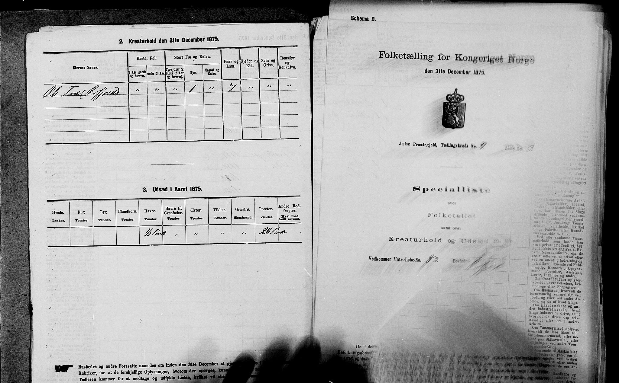 SAST, 1875 census for 1138P Jelsa, 1875, p. 325