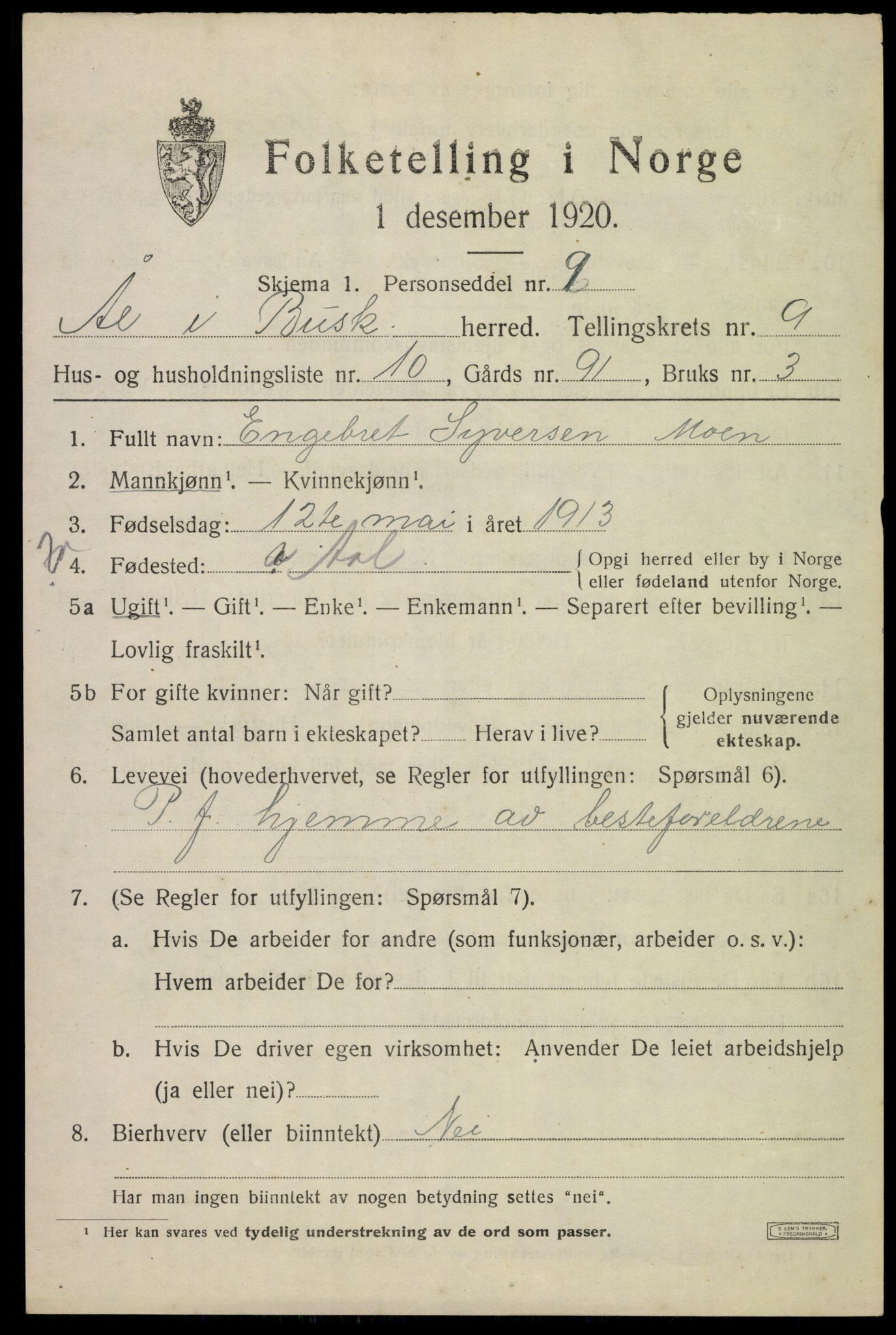 SAKO, 1920 census for Ål, 1920, p. 5790