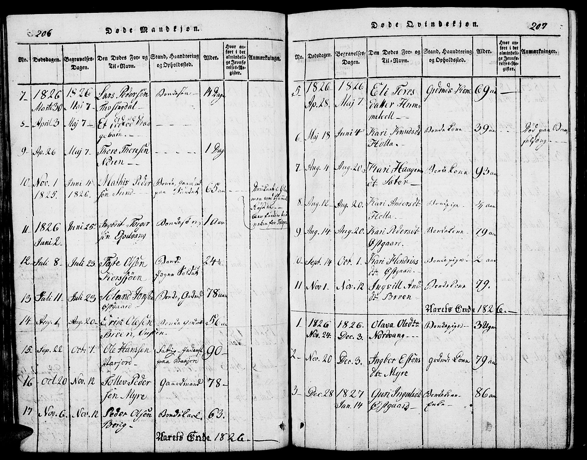 Tolga prestekontor, SAH/PREST-062/L/L0002: Parish register (copy) no. 2, 1815-1844, p. 206-207