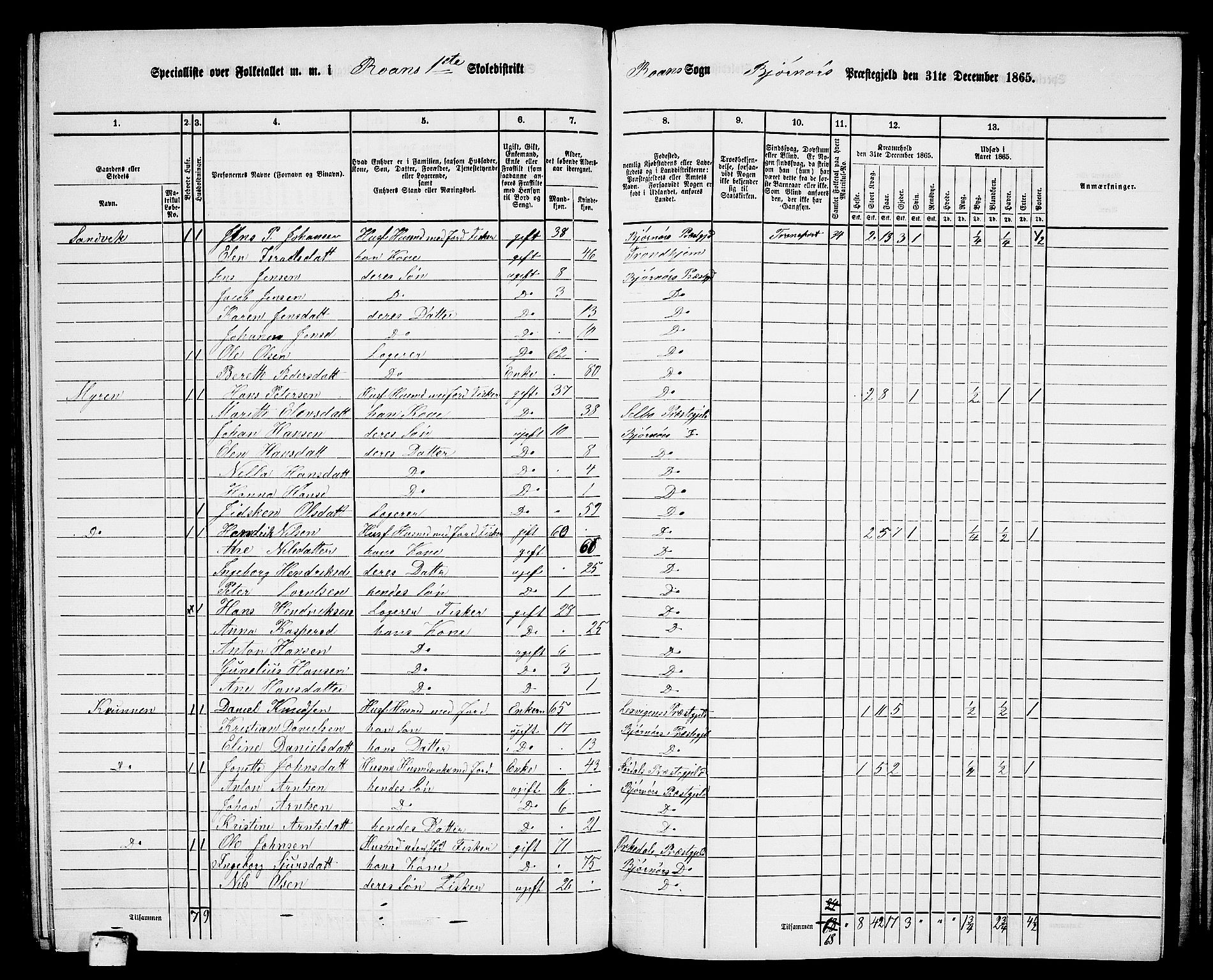 RA, 1865 census for Bjørnør, 1865, p. 97