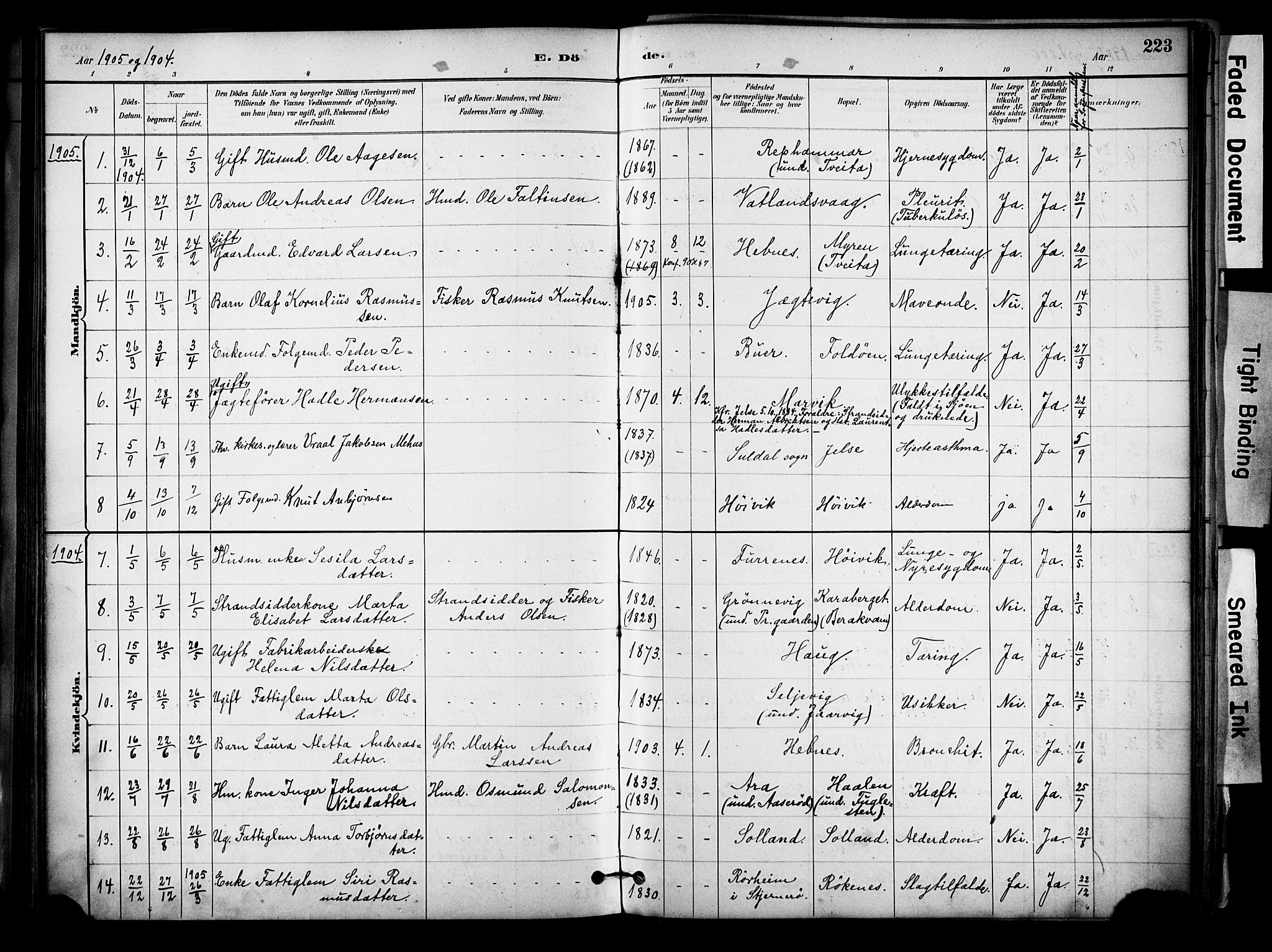 Jelsa sokneprestkontor, SAST/A-101842/01/IV: Parish register (official) no. A 10, 1884-1906, p. 223