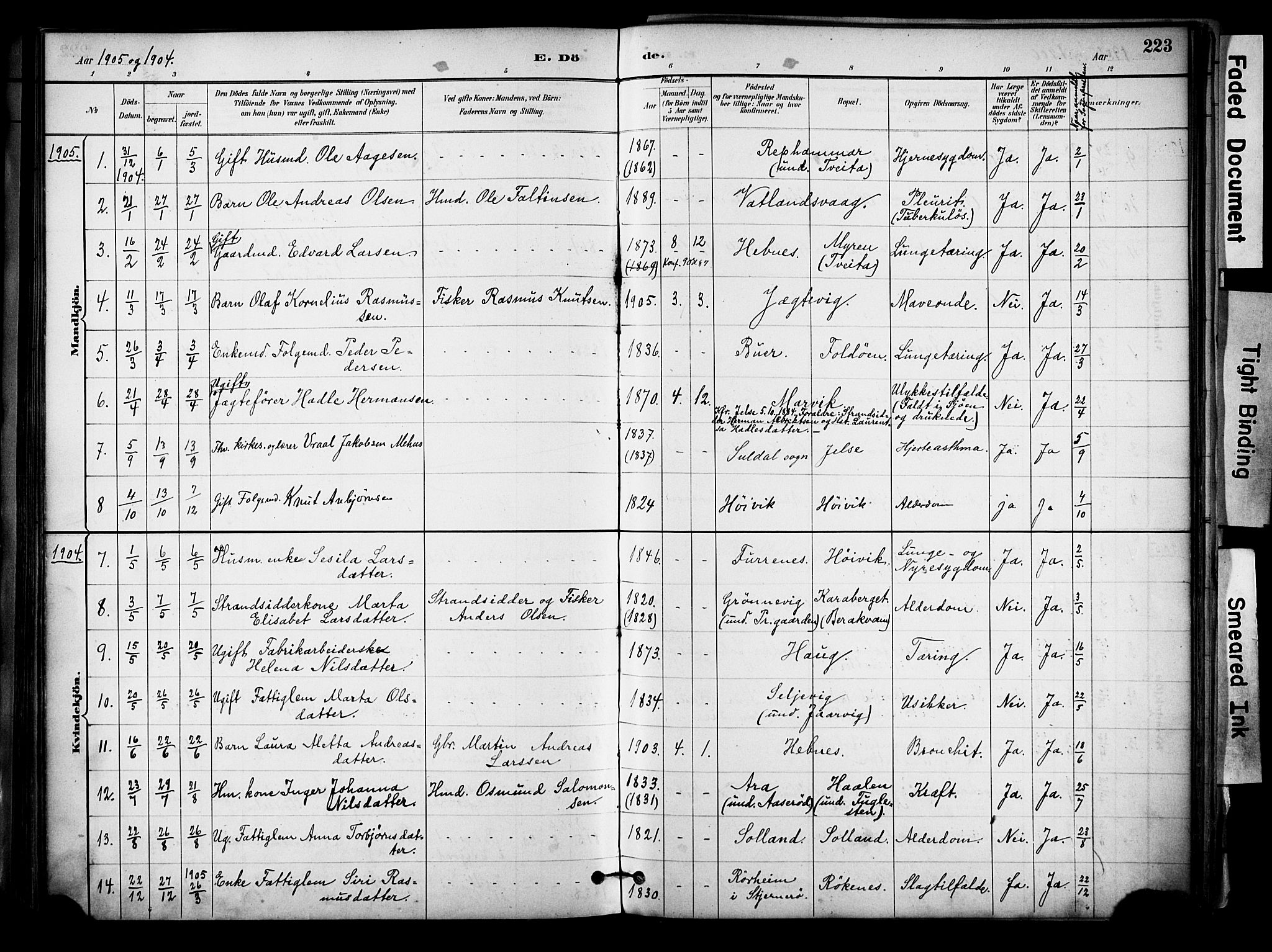 Jelsa sokneprestkontor, AV/SAST-A-101842/01/IV: Parish register (official) no. A 10, 1884-1906, p. 223