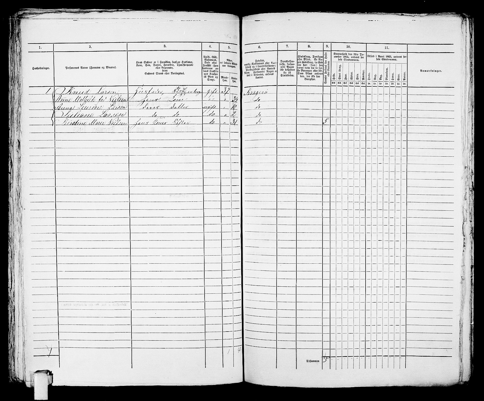 RA, 1865 census for Kragerø/Kragerø, 1865, p. 819