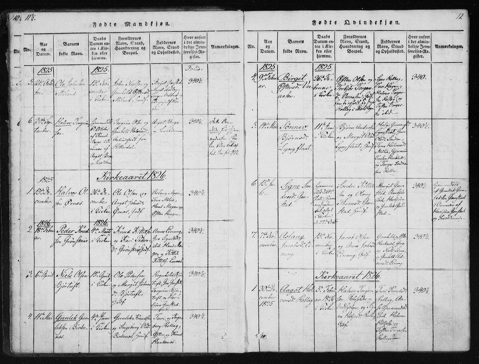 Tinn kirkebøker, SAKO/A-308/F/Fb/L0001: Parish register (official) no. II 1, 1815-1843, p. 12