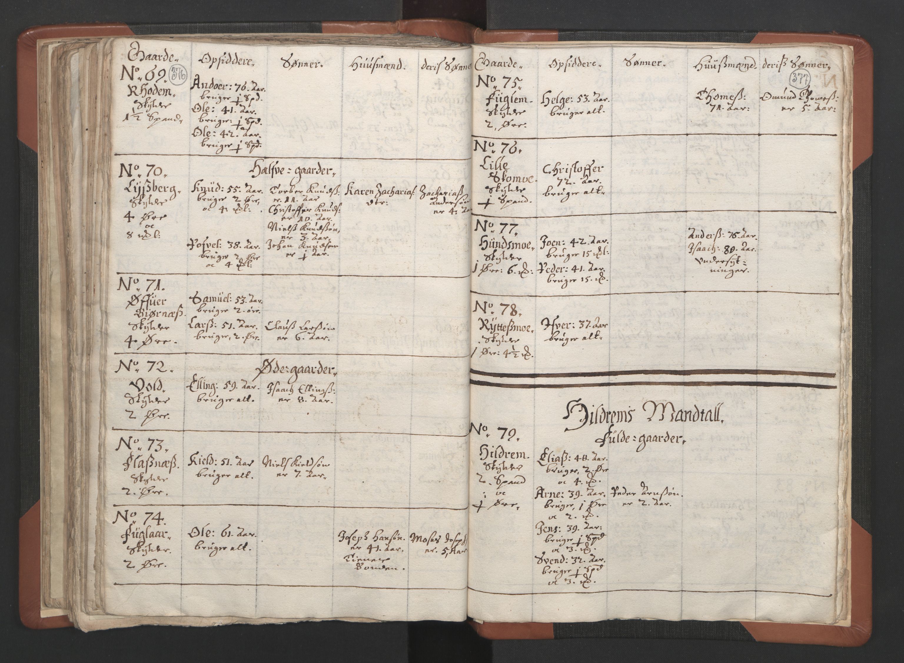 RA, Vicar's Census 1664-1666, no. 34: Namdal deanery, 1664-1666, p. 376-377