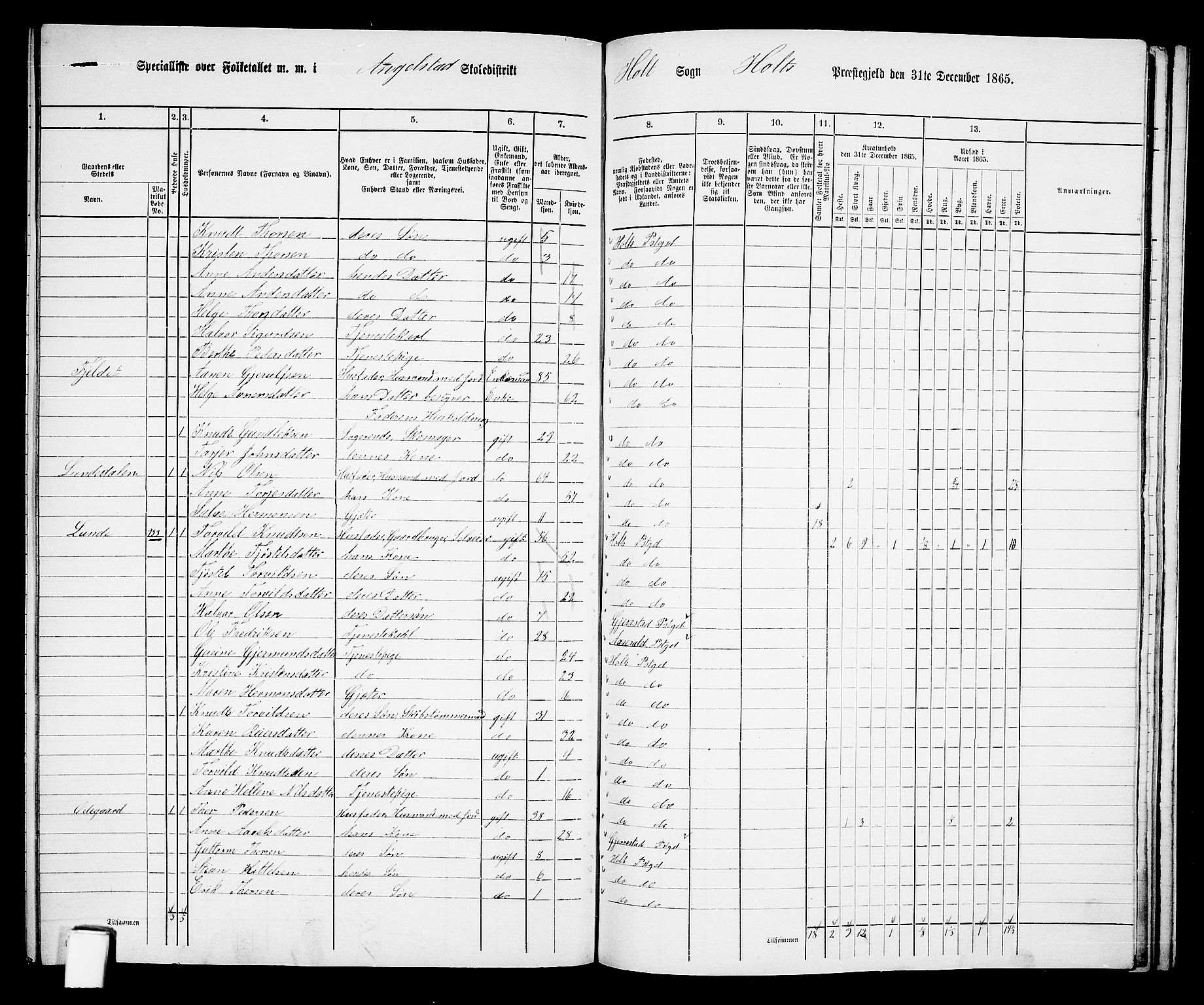 RA, 1865 census for Holt/Holt, 1865, p. 162