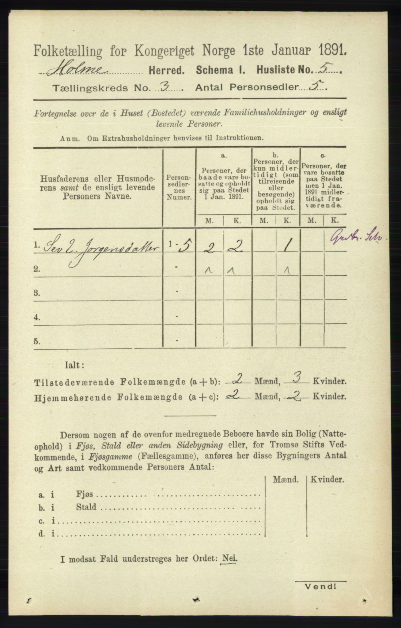 RA, 1891 census for 1020 Holum, 1891, p. 782