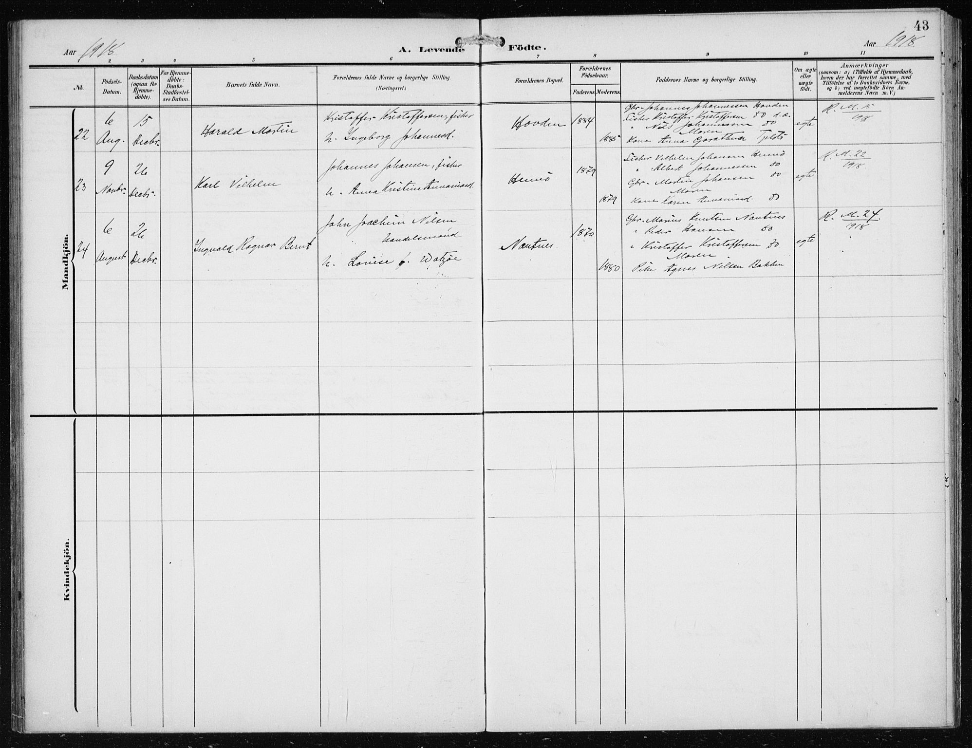 Herdla Sokneprestembete, AV/SAB-A-75701/H/Haa: Parish register (official) no. B 1, 1902-1921, p. 43