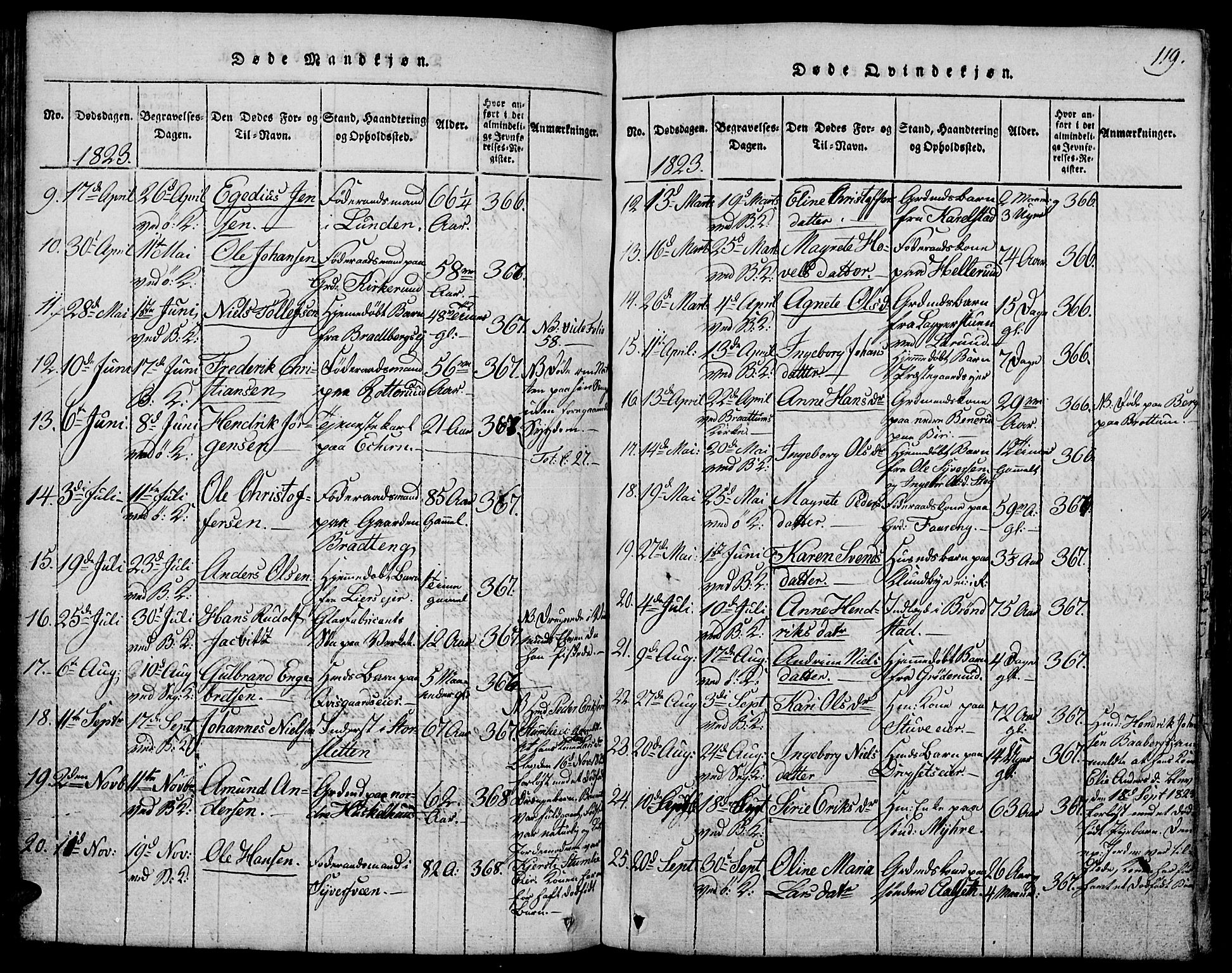 Biri prestekontor, SAH/PREST-096/H/Ha/Hab/L0001: Parish register (copy) no. 1, 1814-1828, p. 119