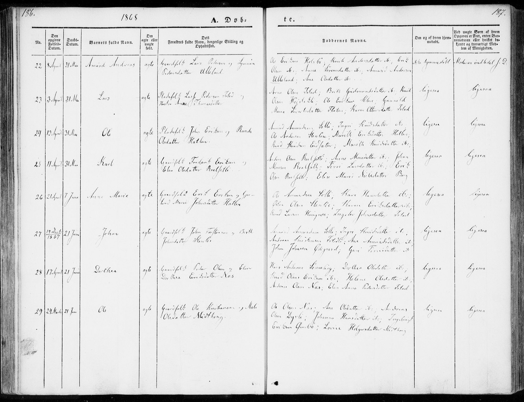 Ministerialprotokoller, klokkerbøker og fødselsregistre - Møre og Romsdal, AV/SAT-A-1454/557/L0680: Parish register (official) no. 557A02, 1843-1869, p. 186-187