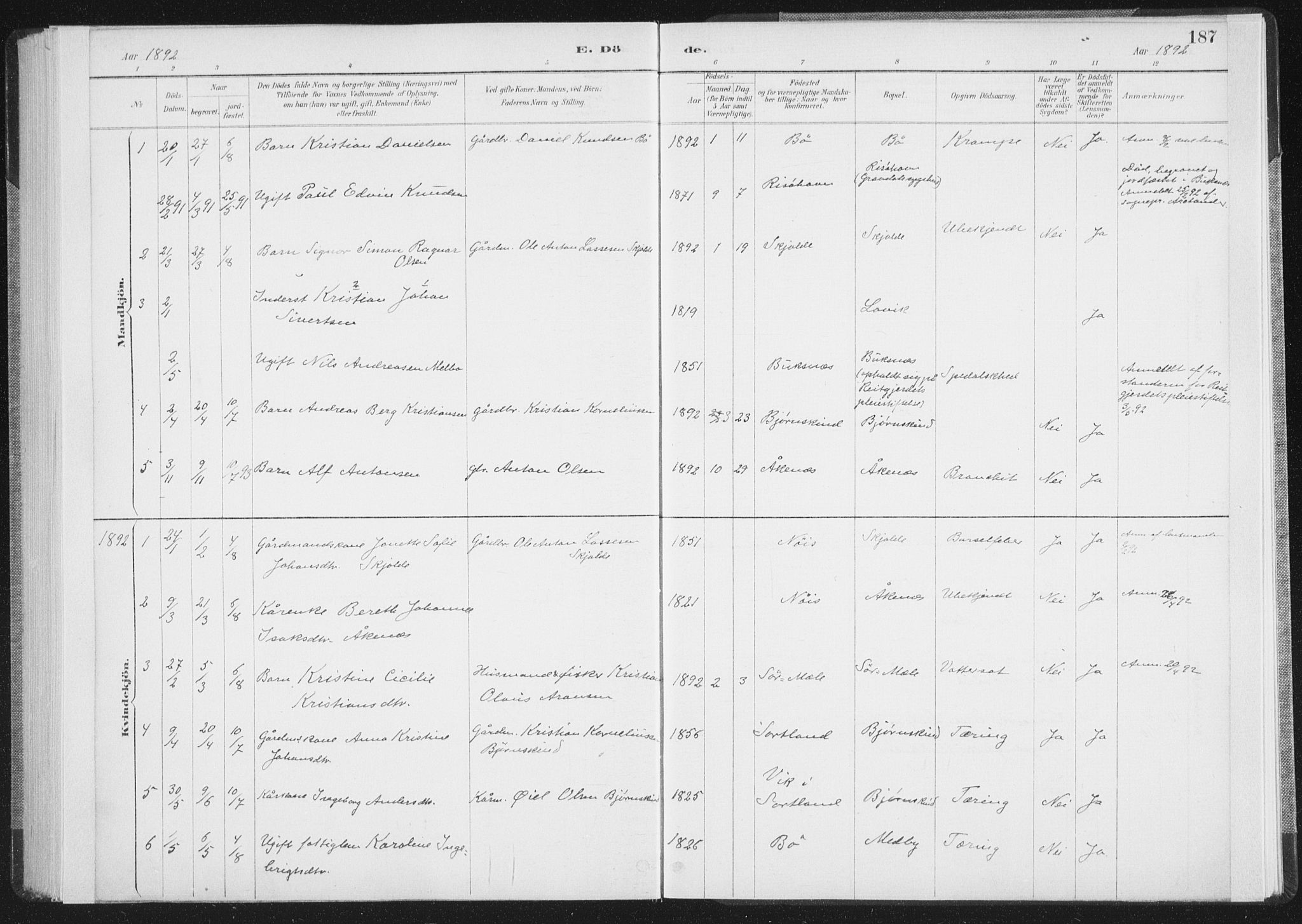 Ministerialprotokoller, klokkerbøker og fødselsregistre - Nordland, SAT/A-1459/898/L1422: Parish register (official) no. 898A02, 1887-1908, p. 187