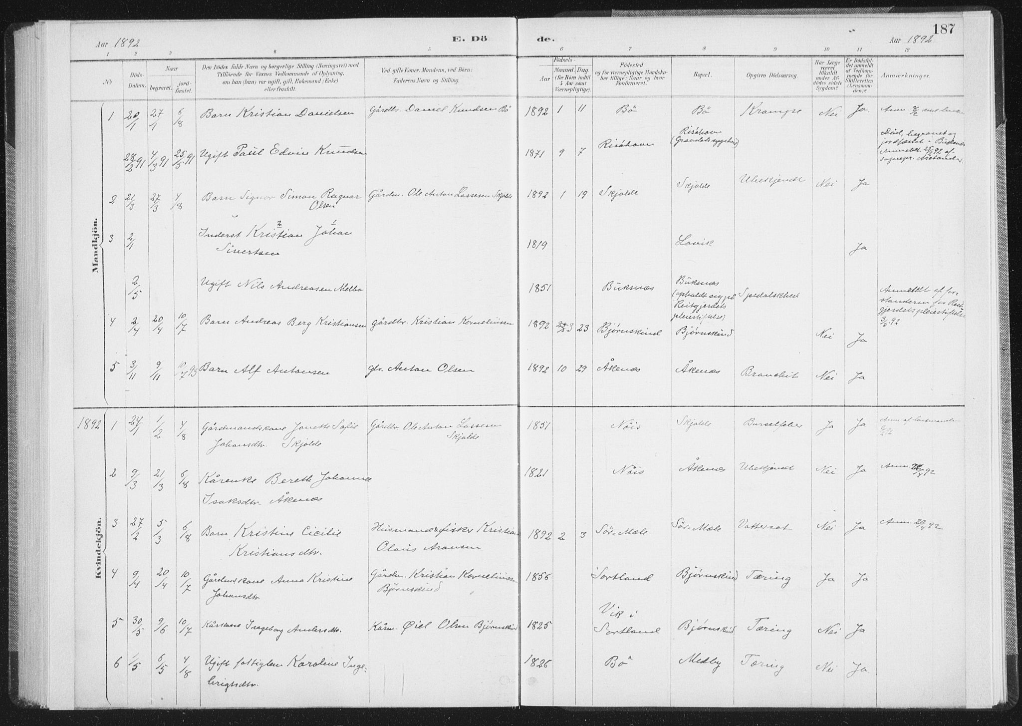 Ministerialprotokoller, klokkerbøker og fødselsregistre - Nordland, AV/SAT-A-1459/898/L1422: Parish register (official) no. 898A02, 1887-1908, p. 187