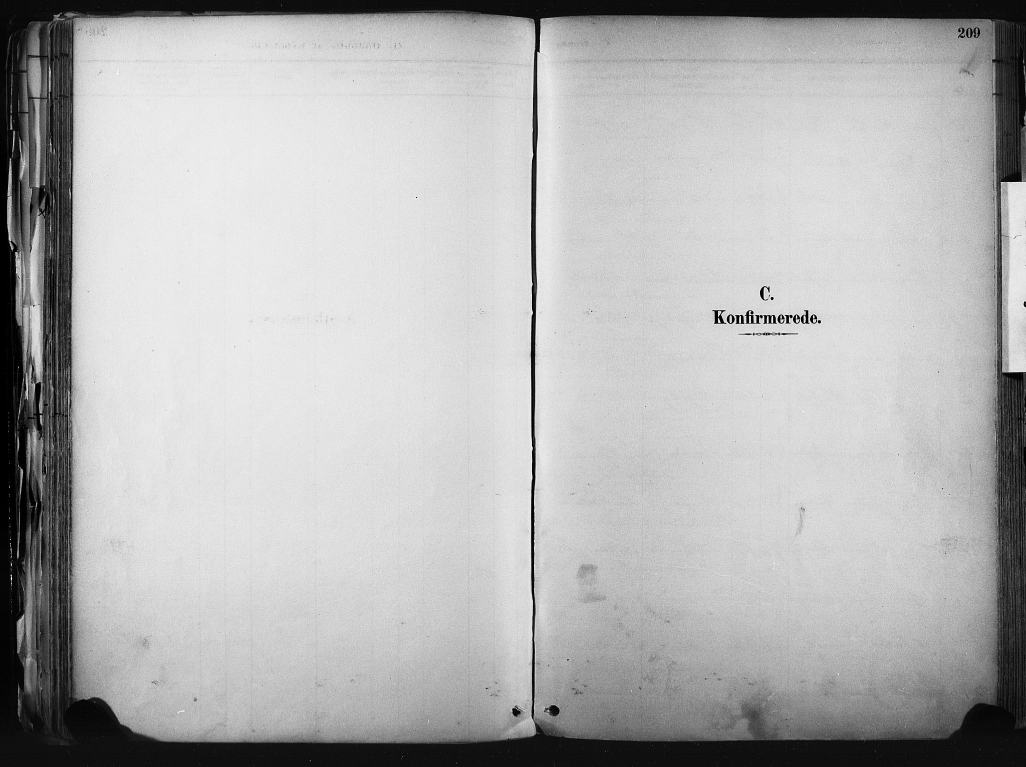 Kongsberg kirkebøker, SAKO/A-22/F/Fb/L0002: Parish register (official) no. II 2, 1886-1896, p. 209