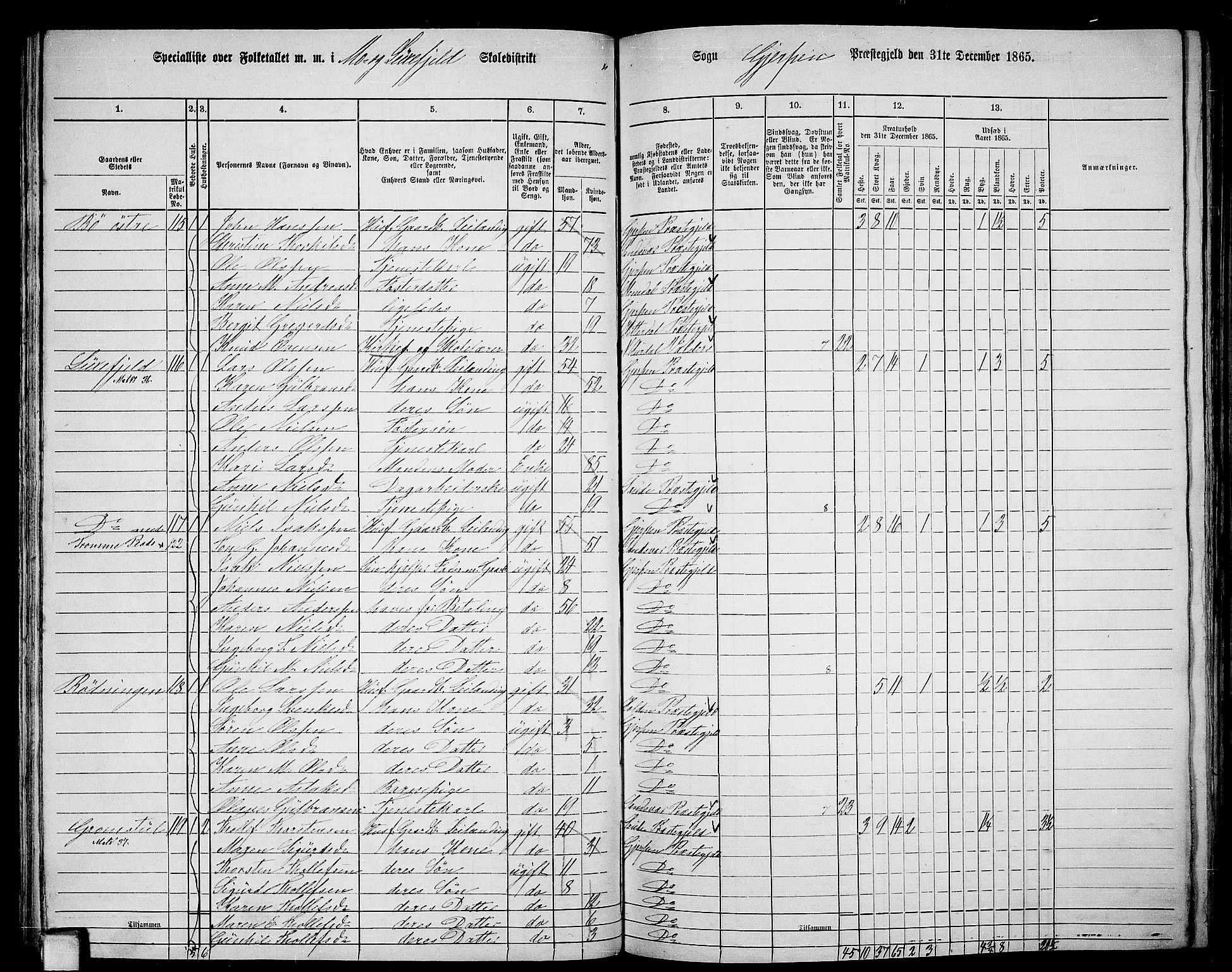 RA, 1865 census for Gjerpen, 1865, p. 79