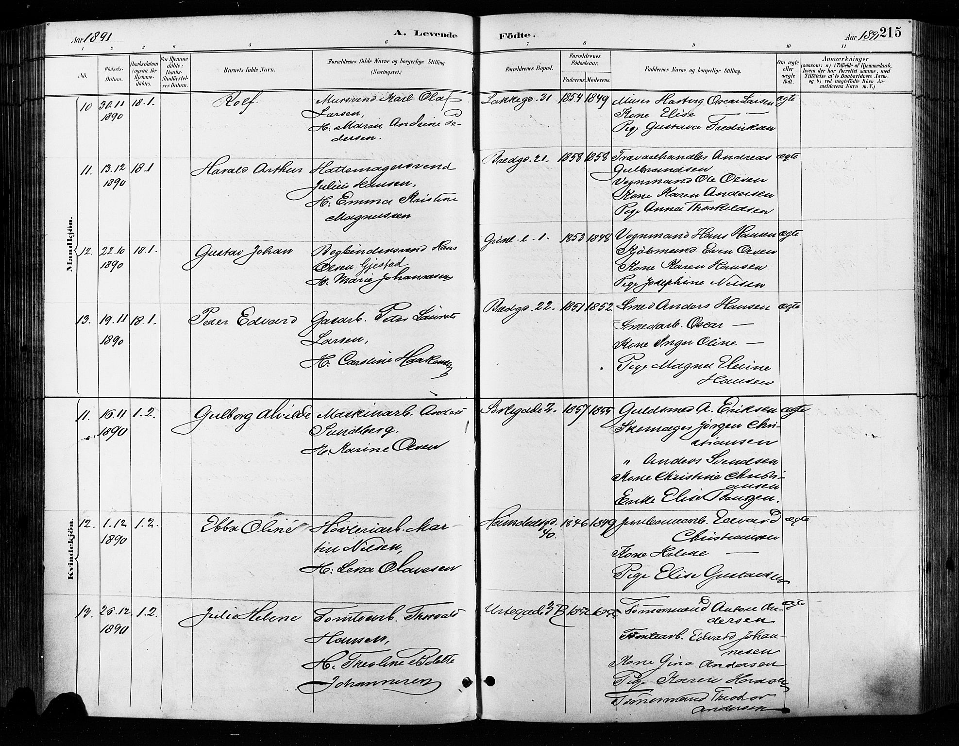 Grønland prestekontor Kirkebøker, AV/SAO-A-10848/F/Fa/L0009: Parish register (official) no. 9, 1888-1893, p. 215