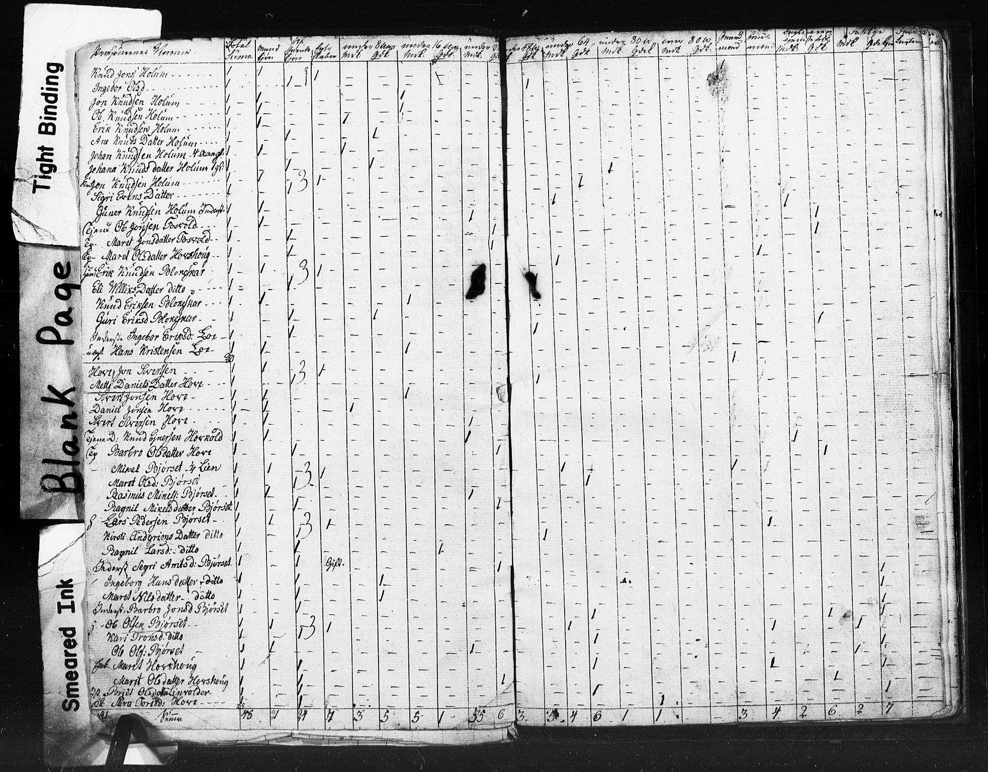 SAT, 1815 Census for Meldal parish, 1815, p. 17