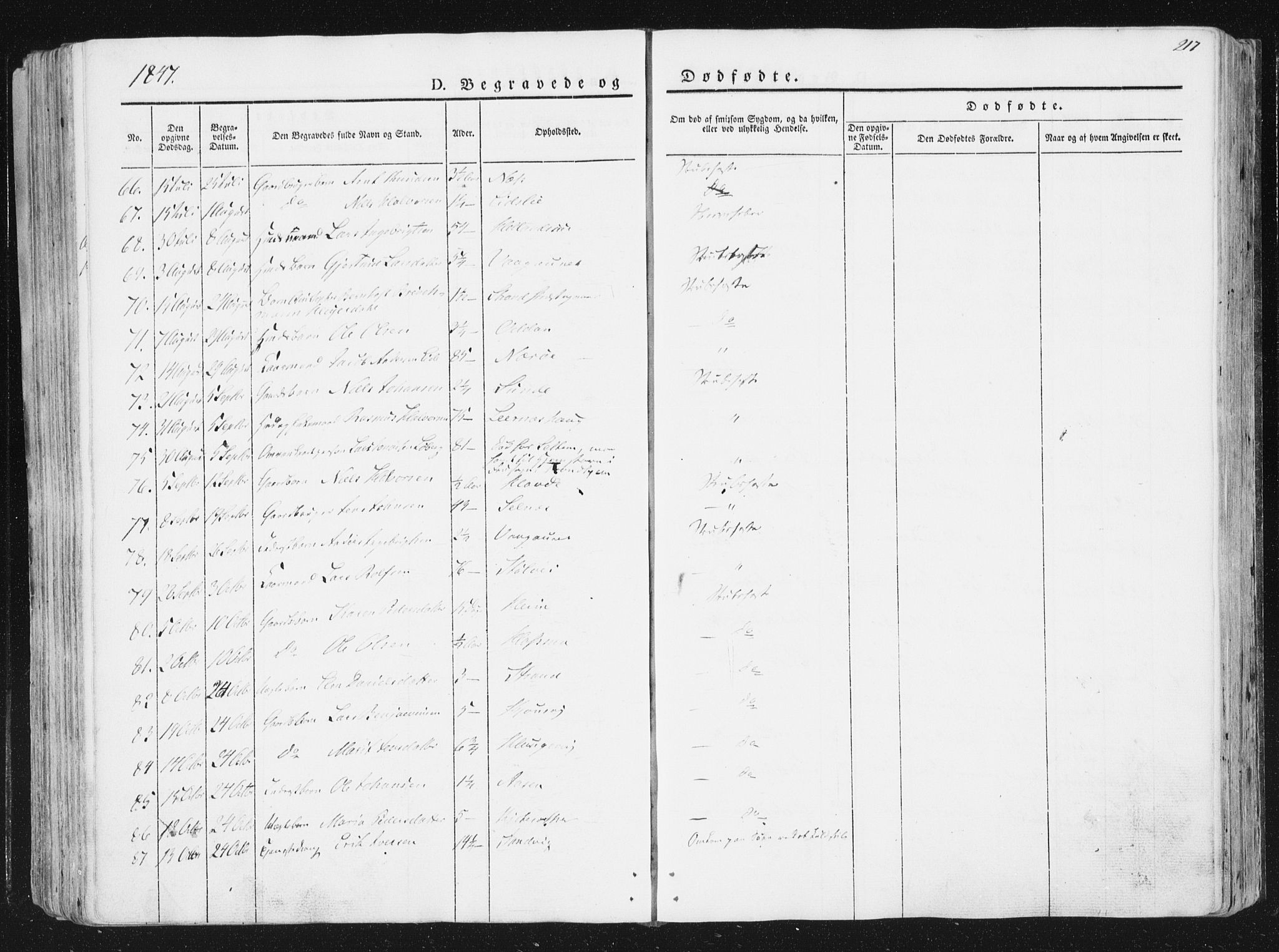 Ministerialprotokoller, klokkerbøker og fødselsregistre - Sør-Trøndelag, SAT/A-1456/630/L0493: Parish register (official) no. 630A06, 1841-1851, p. 217