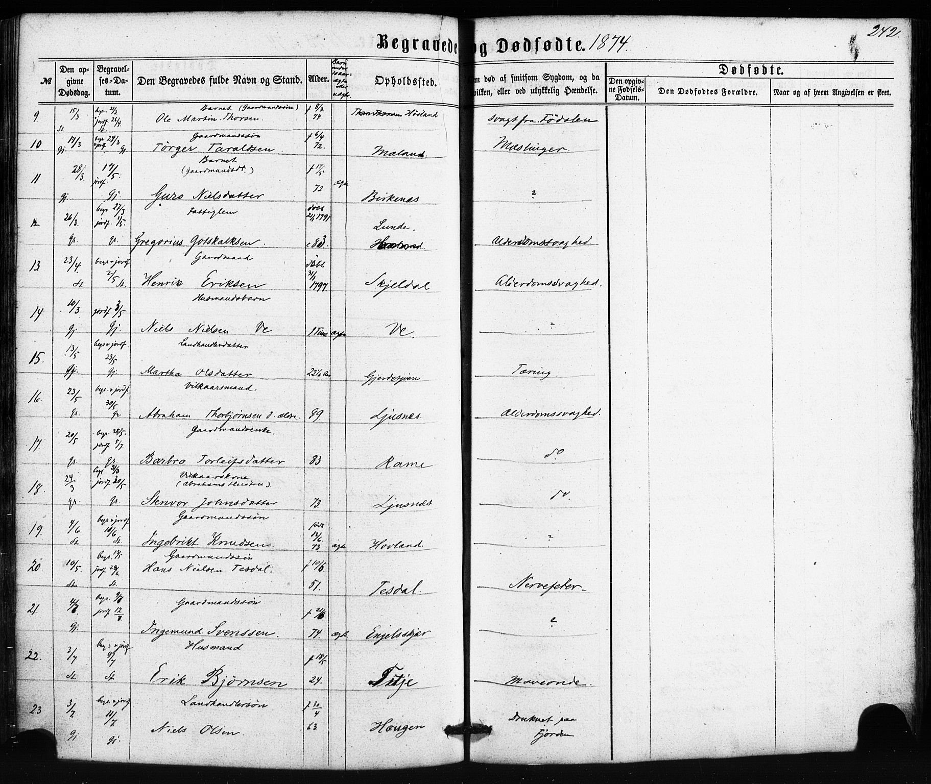 Etne sokneprestembete, AV/SAB-A-75001/H/Haa: Parish register (official) no. A 9, 1862-1878, p. 242