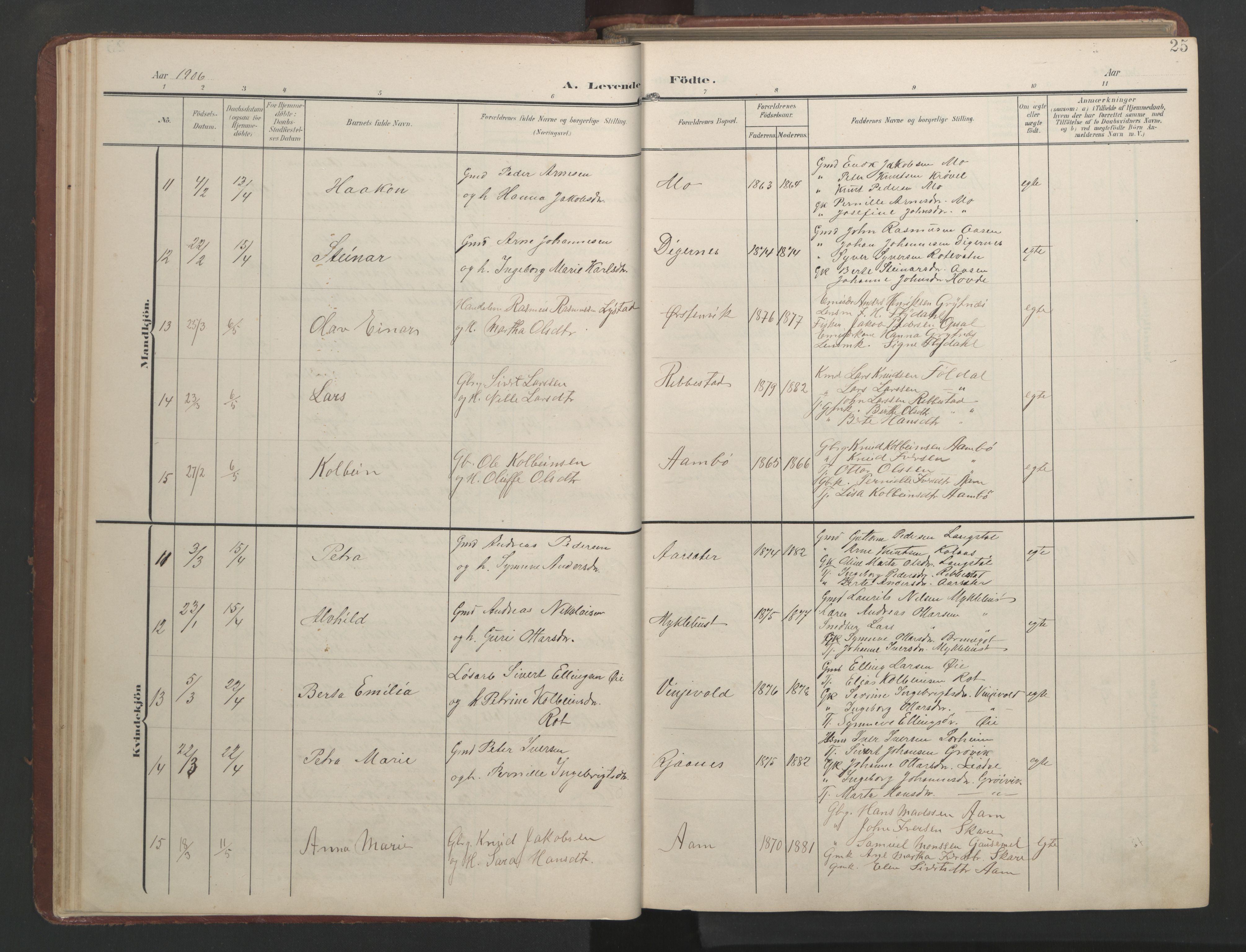 Ministerialprotokoller, klokkerbøker og fødselsregistre - Møre og Romsdal, AV/SAT-A-1454/513/L0190: Parish register (copy) no. 513C04, 1904-1926, p. 25