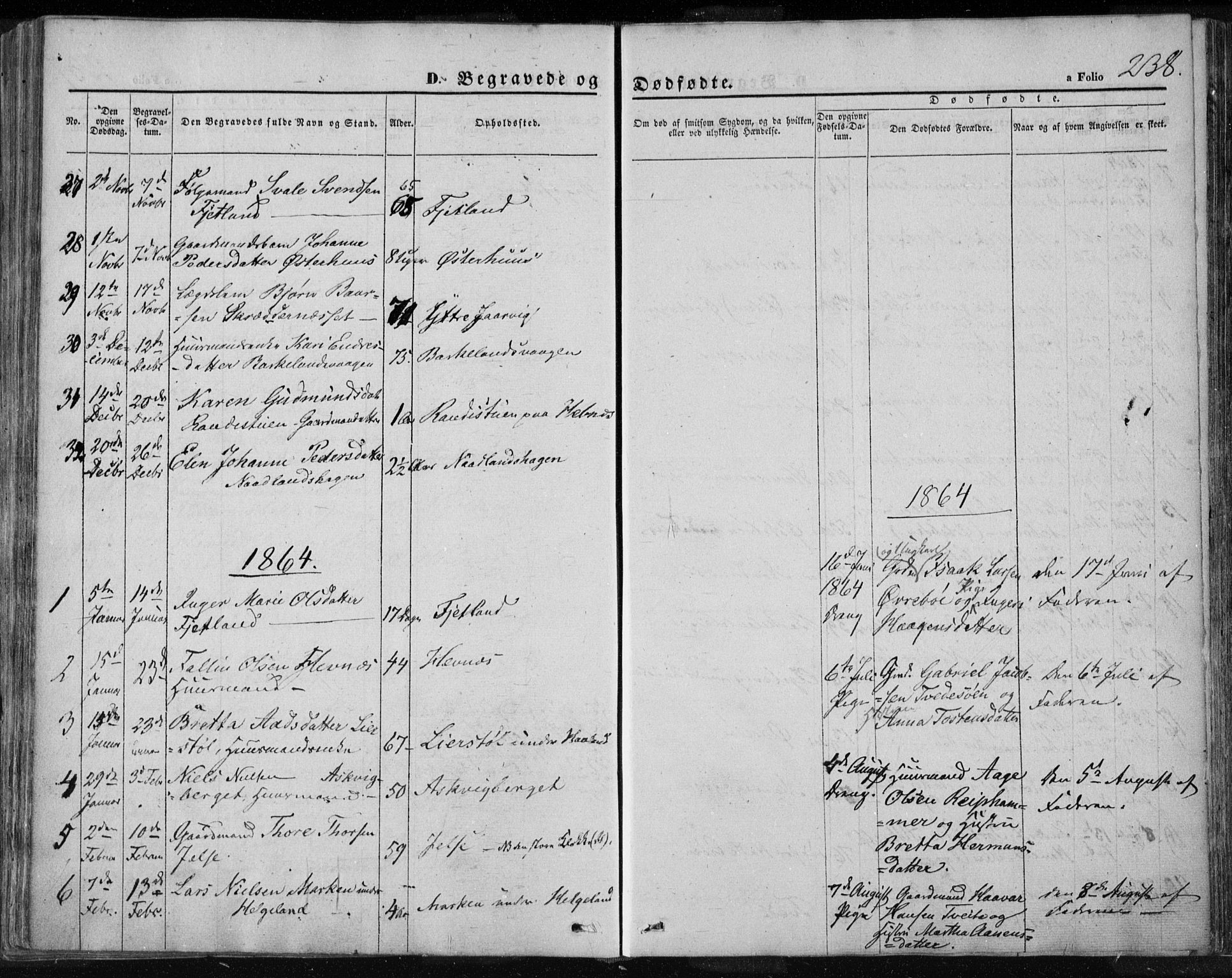 Jelsa sokneprestkontor, SAST/A-101842/01/IV: Parish register (official) no. A 7, 1854-1866, p. 238