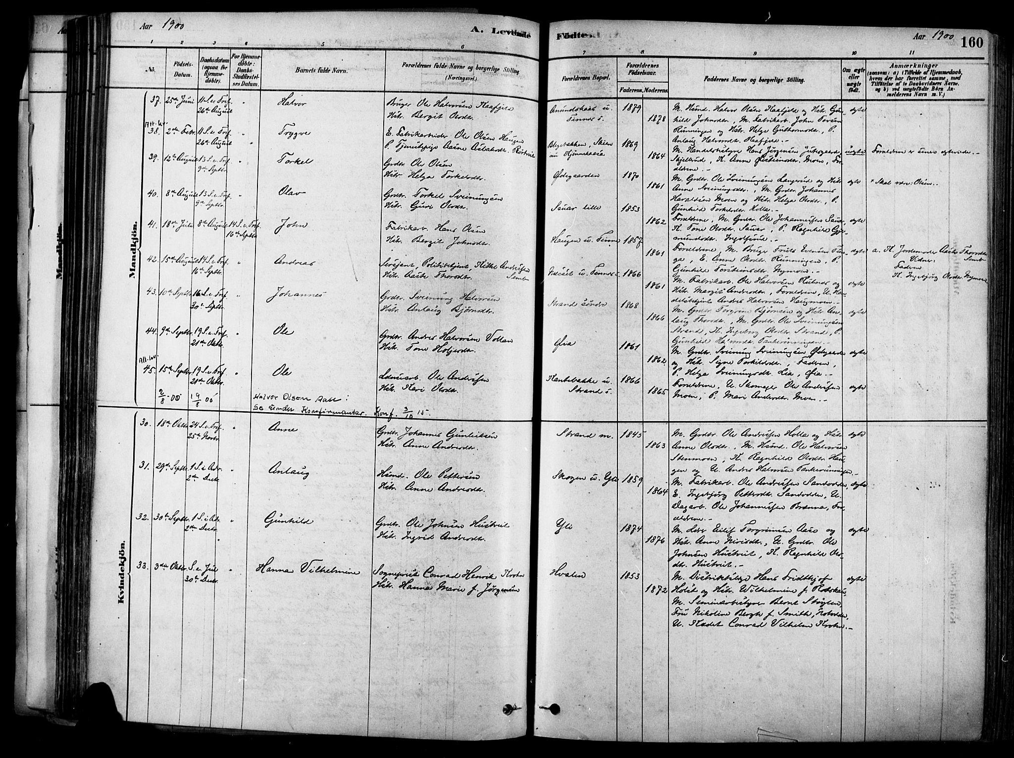 Heddal kirkebøker, AV/SAKO-A-268/F/Fa/L0008: Parish register (official) no. I 8, 1878-1903, p. 160