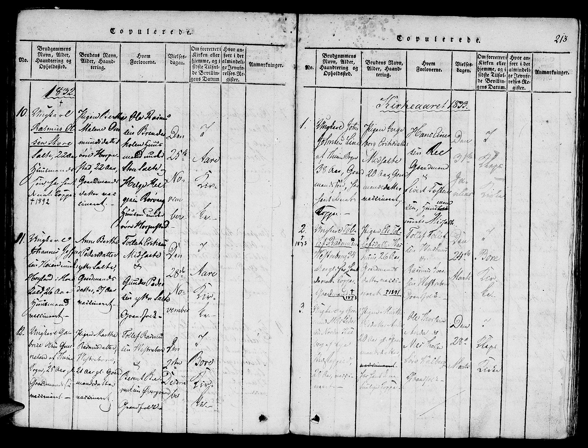 Klepp sokneprestkontor, SAST/A-101803/001/3/30BA/L0002: Parish register (official) no. A 2, 1816-1833, p. 213