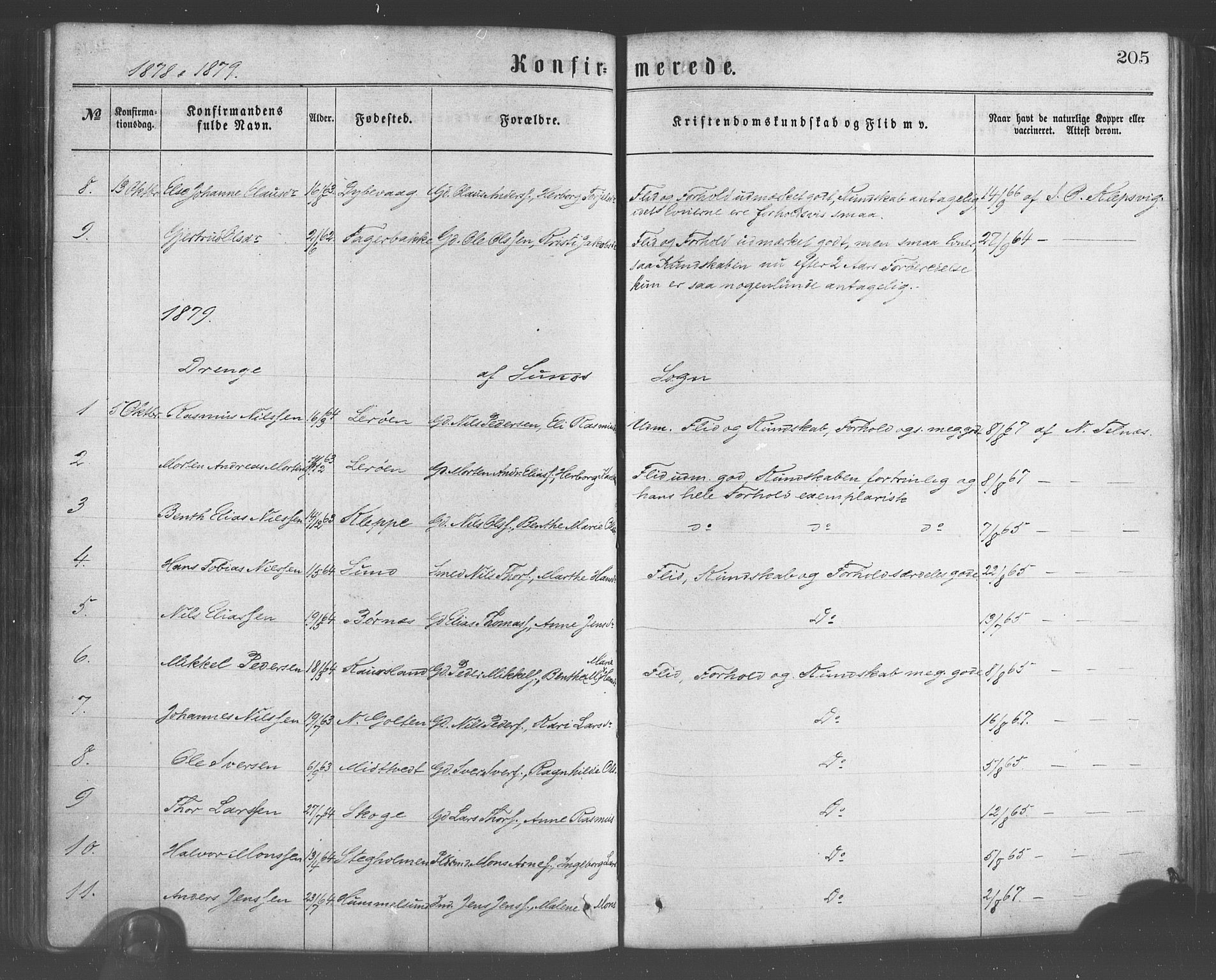 Sund sokneprestembete, SAB/A-99930: Parish register (official) no. A 15, 1867-1881, p. 205