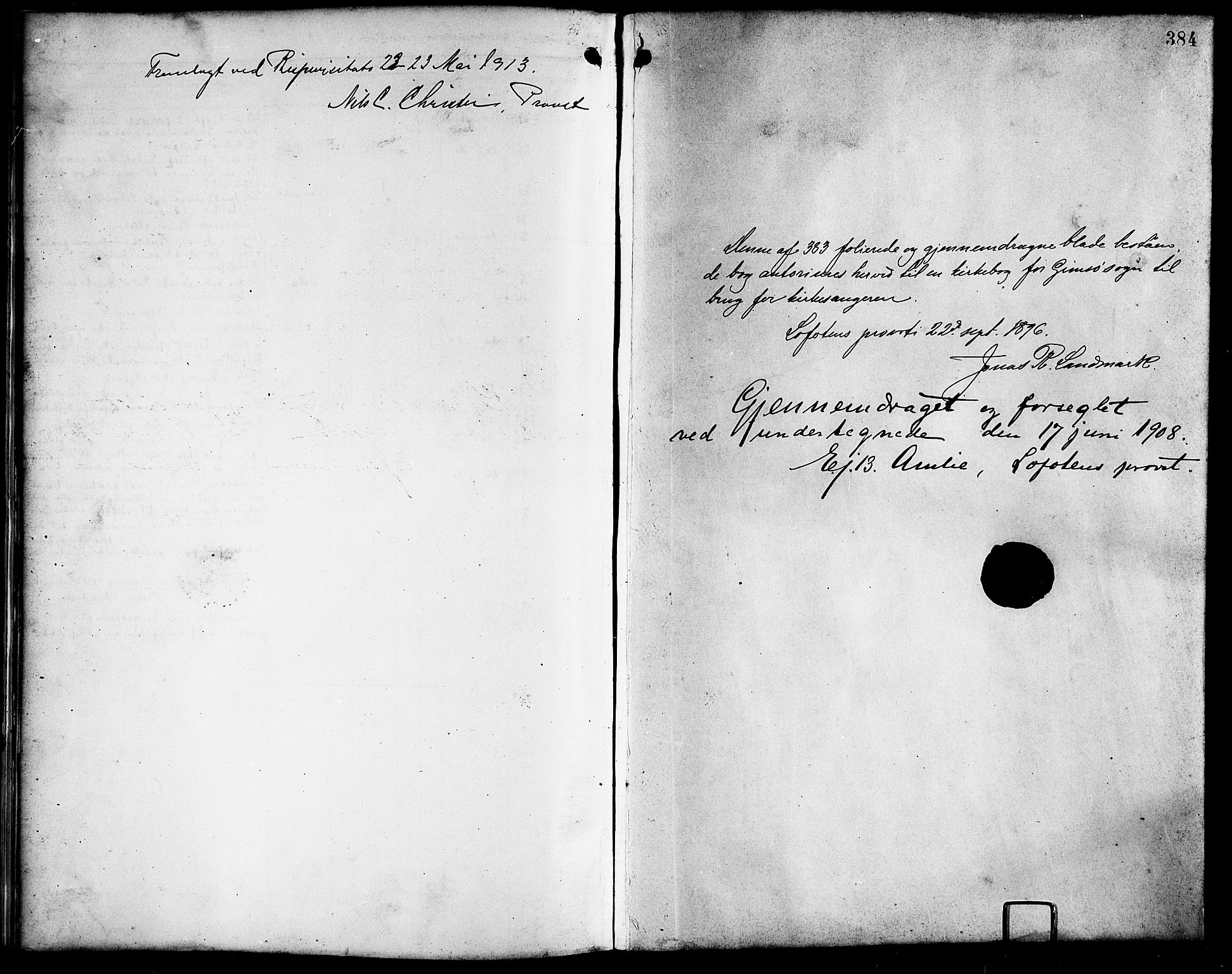 Ministerialprotokoller, klokkerbøker og fødselsregistre - Nordland, SAT/A-1459/876/L1105: Parish register (copy) no. 876C04, 1896-1914, p. 284