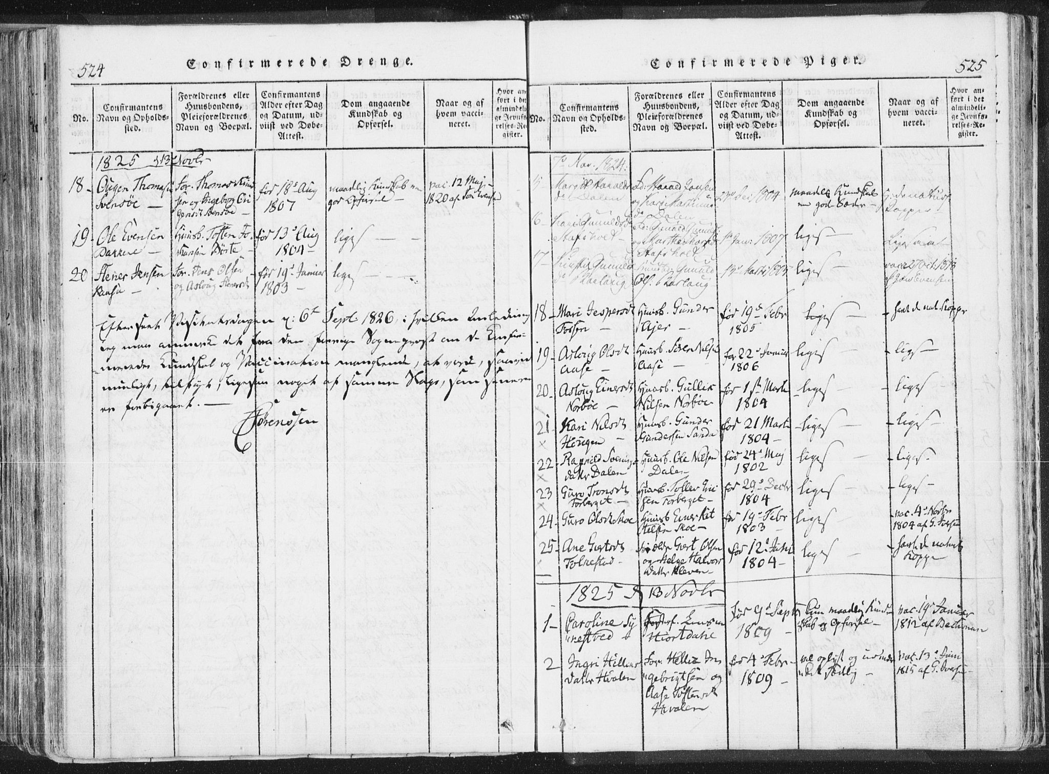 Bø kirkebøker, SAKO/A-257/F/Fa/L0006: Parish register (official) no. 6, 1815-1831, p. 524-525