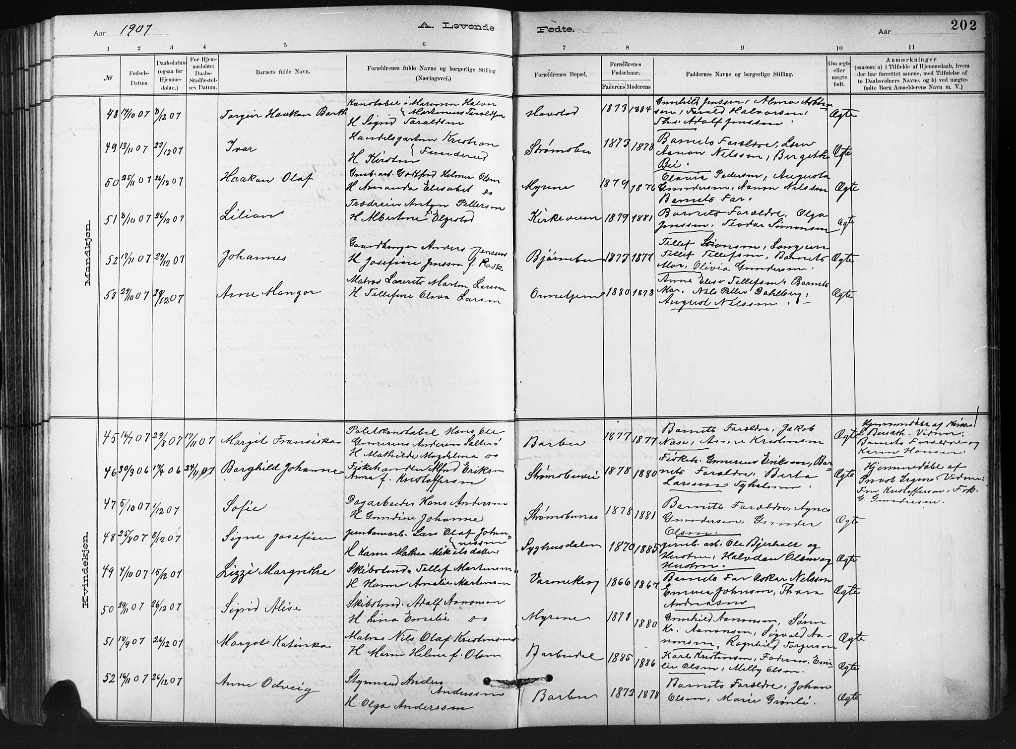 Barbu sokneprestkontor, AV/SAK-1111-0003/F/Fb/L0002: Parish register (copy) no. B 2, 1890-1922, p. 202