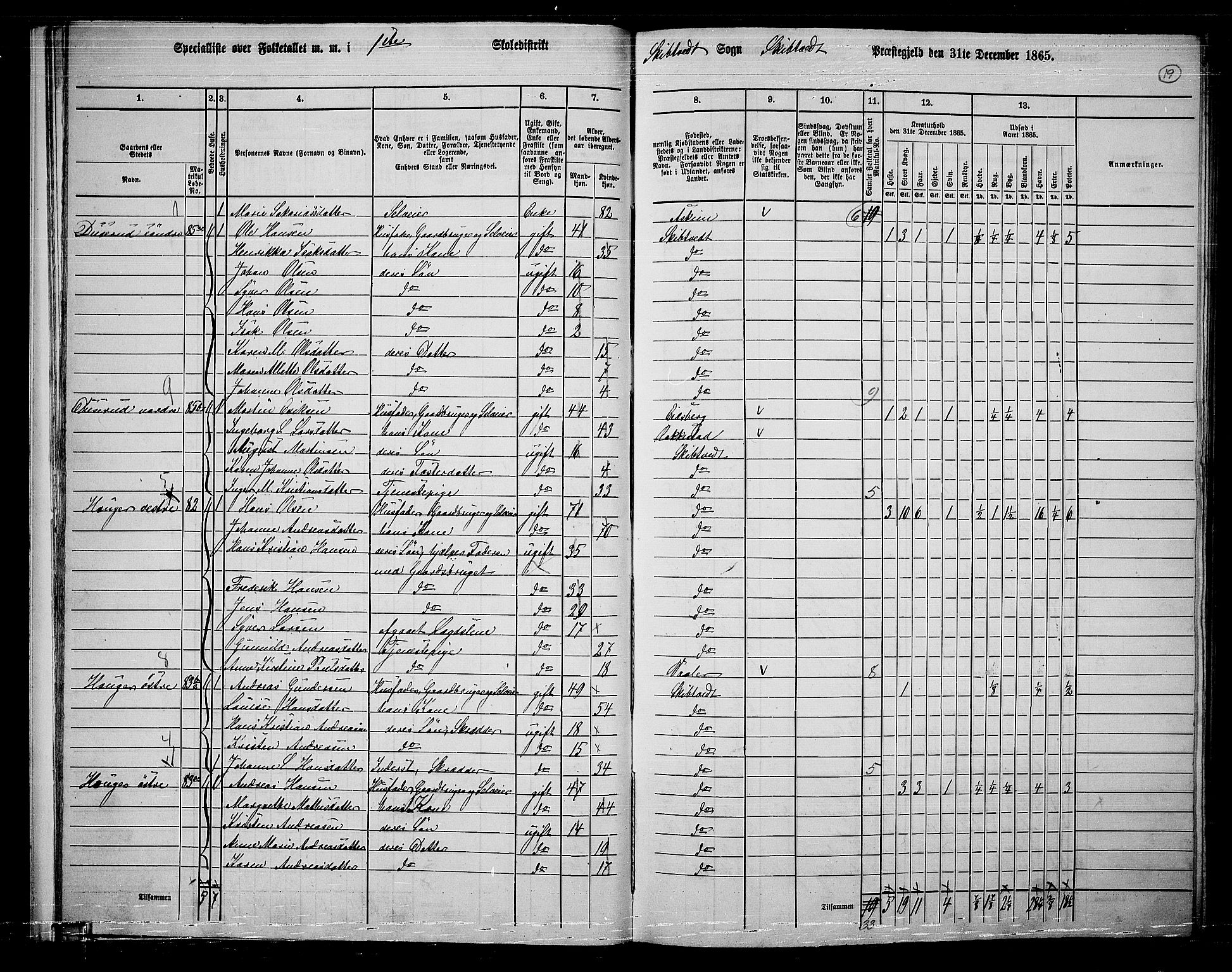 RA, 1865 census for Skiptvet, 1865, p. 18