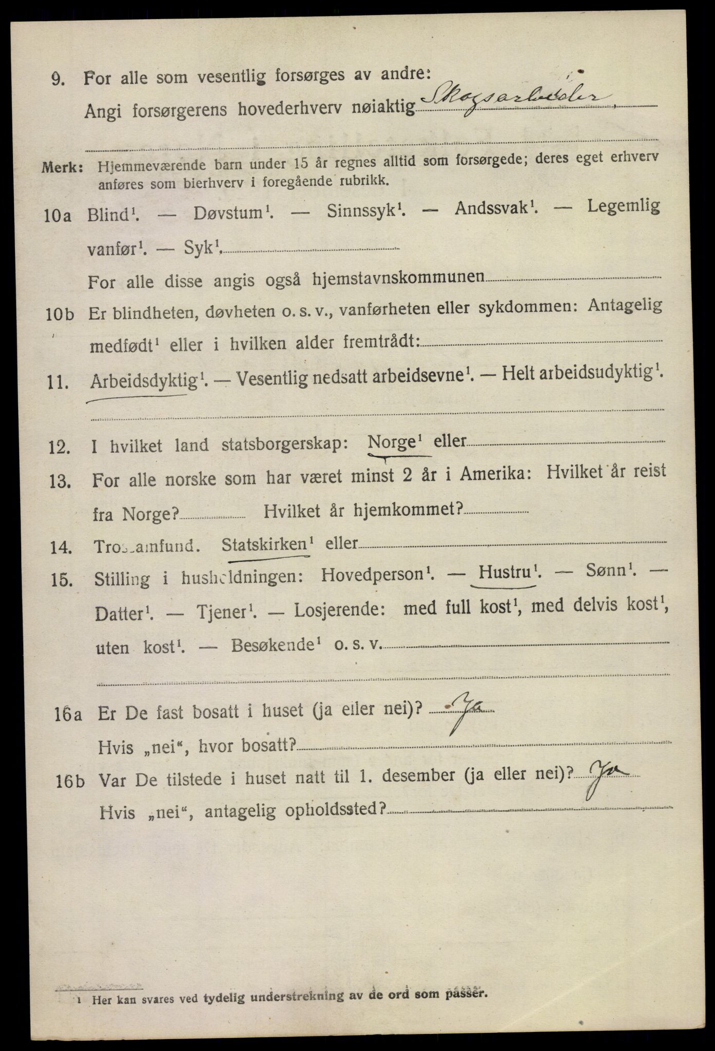 SAKO, 1920 census for Stokke, 1920, p. 10909
