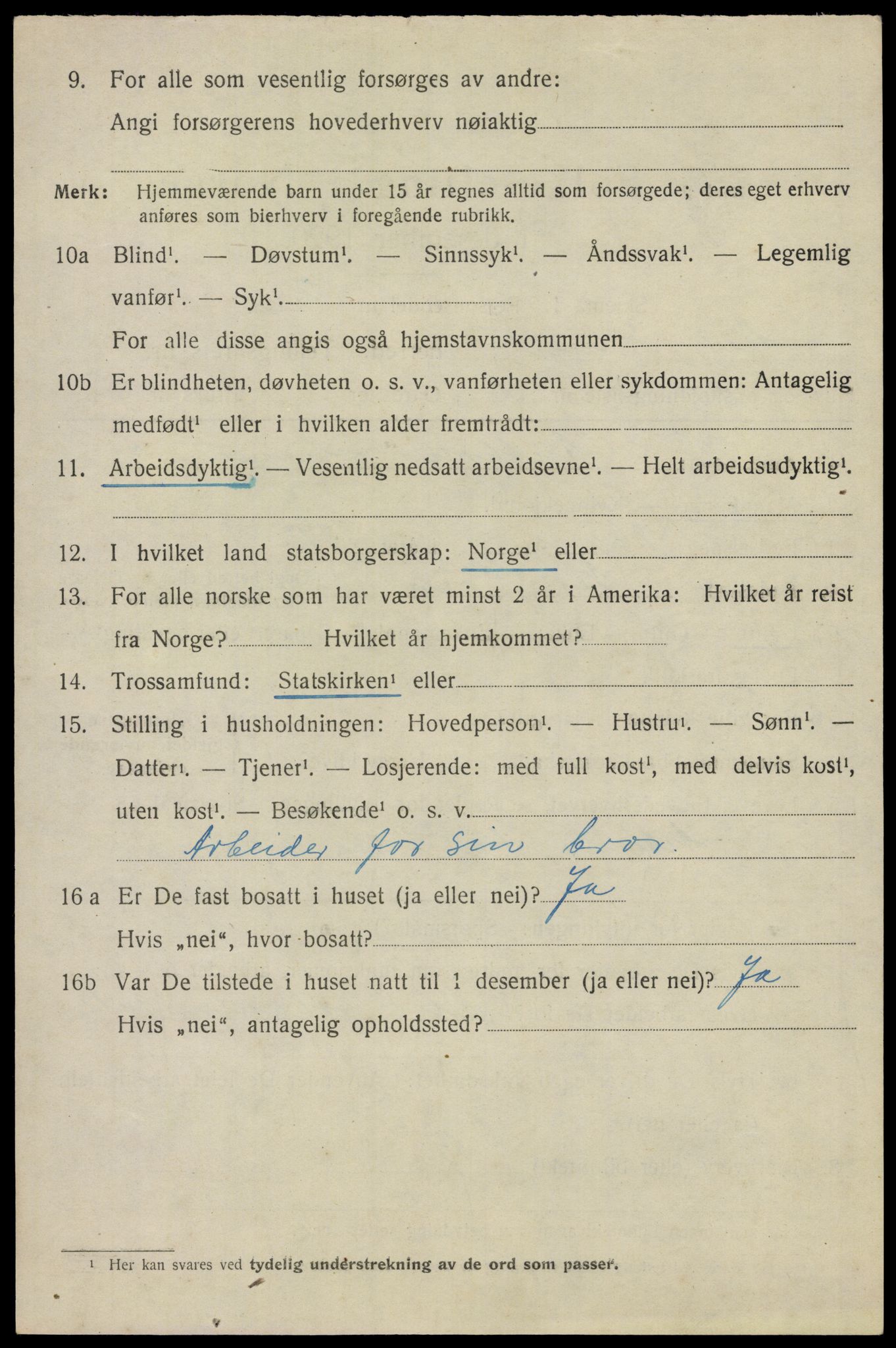 SAO, 1920 census for Nes, 1920, p. 9343