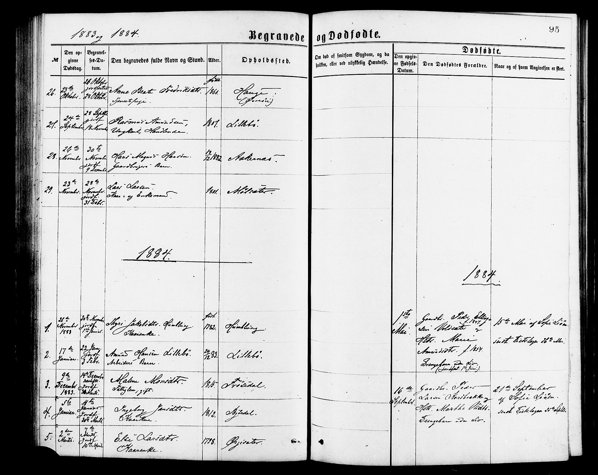 Ministerialprotokoller, klokkerbøker og fødselsregistre - Møre og Romsdal, SAT/A-1454/517/L0227: Parish register (official) no. 517A07, 1870-1886, p. 95