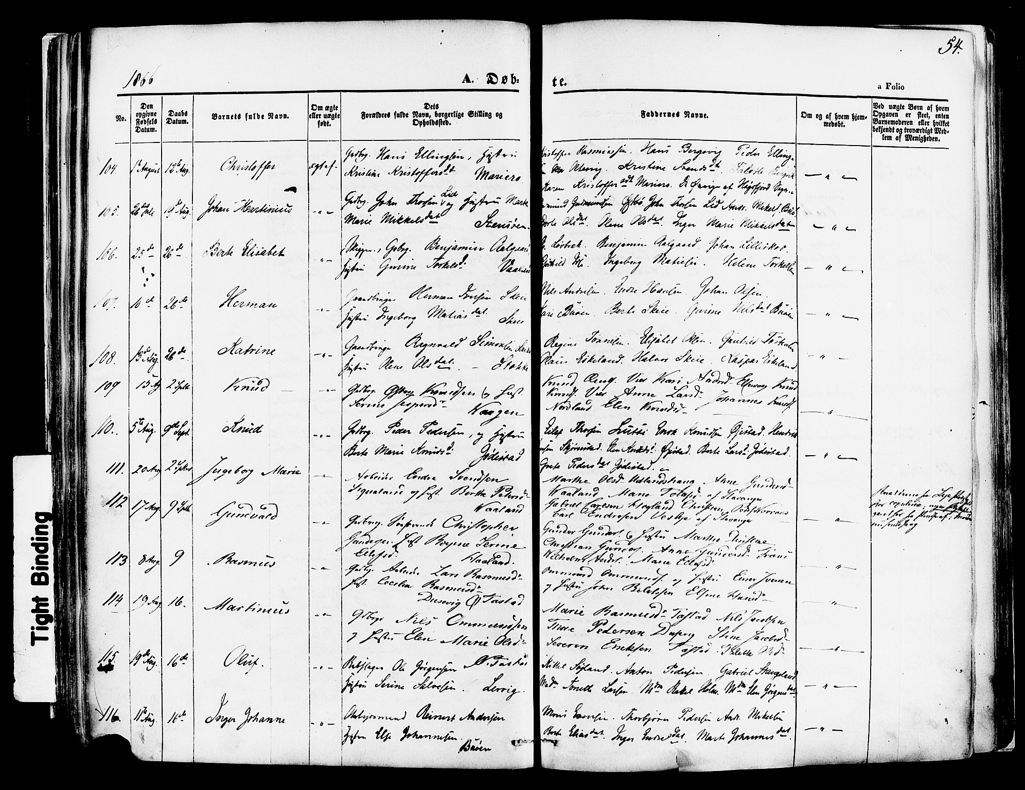 Hetland sokneprestkontor, AV/SAST-A-101826/30/30BA/L0003: Parish register (official) no. A 3, 1862-1876, p. 54