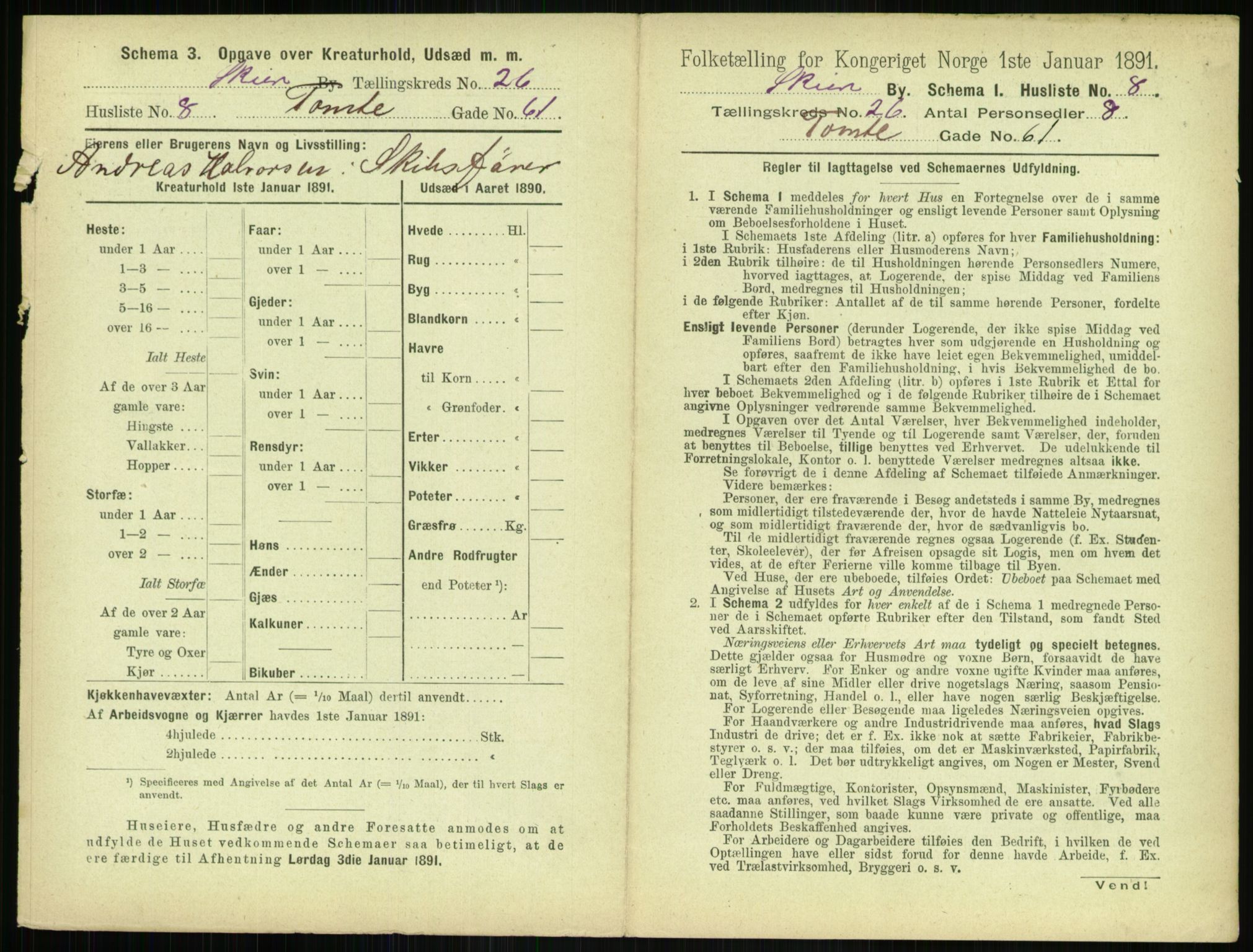 RA, 1891 census for 0806 Skien, 1891, p. 990