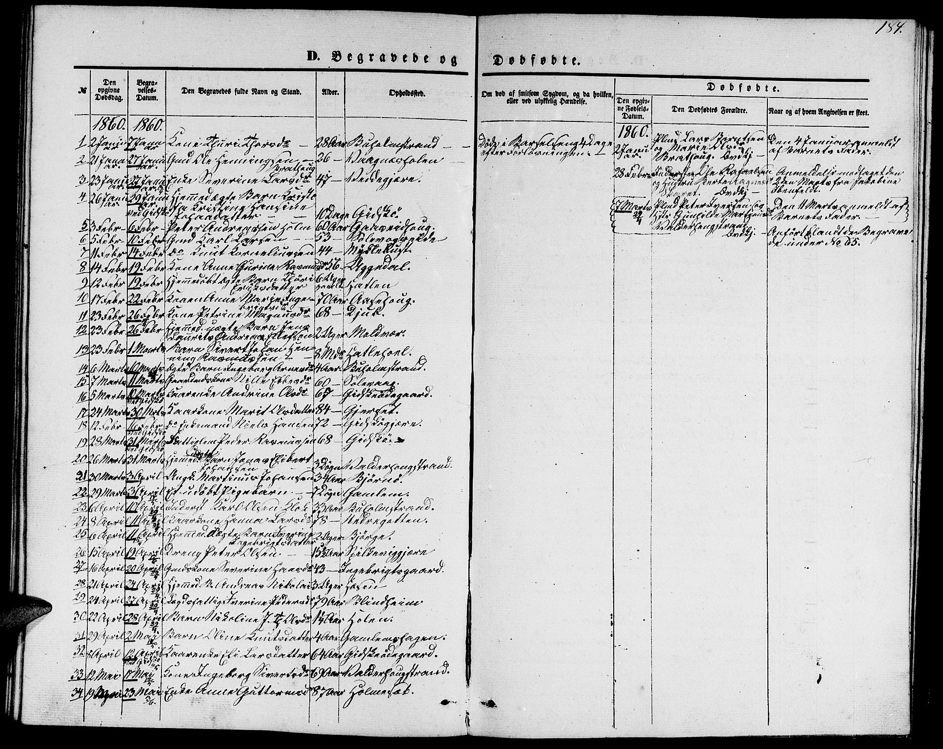 Ministerialprotokoller, klokkerbøker og fødselsregistre - Møre og Romsdal, SAT/A-1454/528/L0427: Parish register (copy) no. 528C08, 1855-1864, p. 184