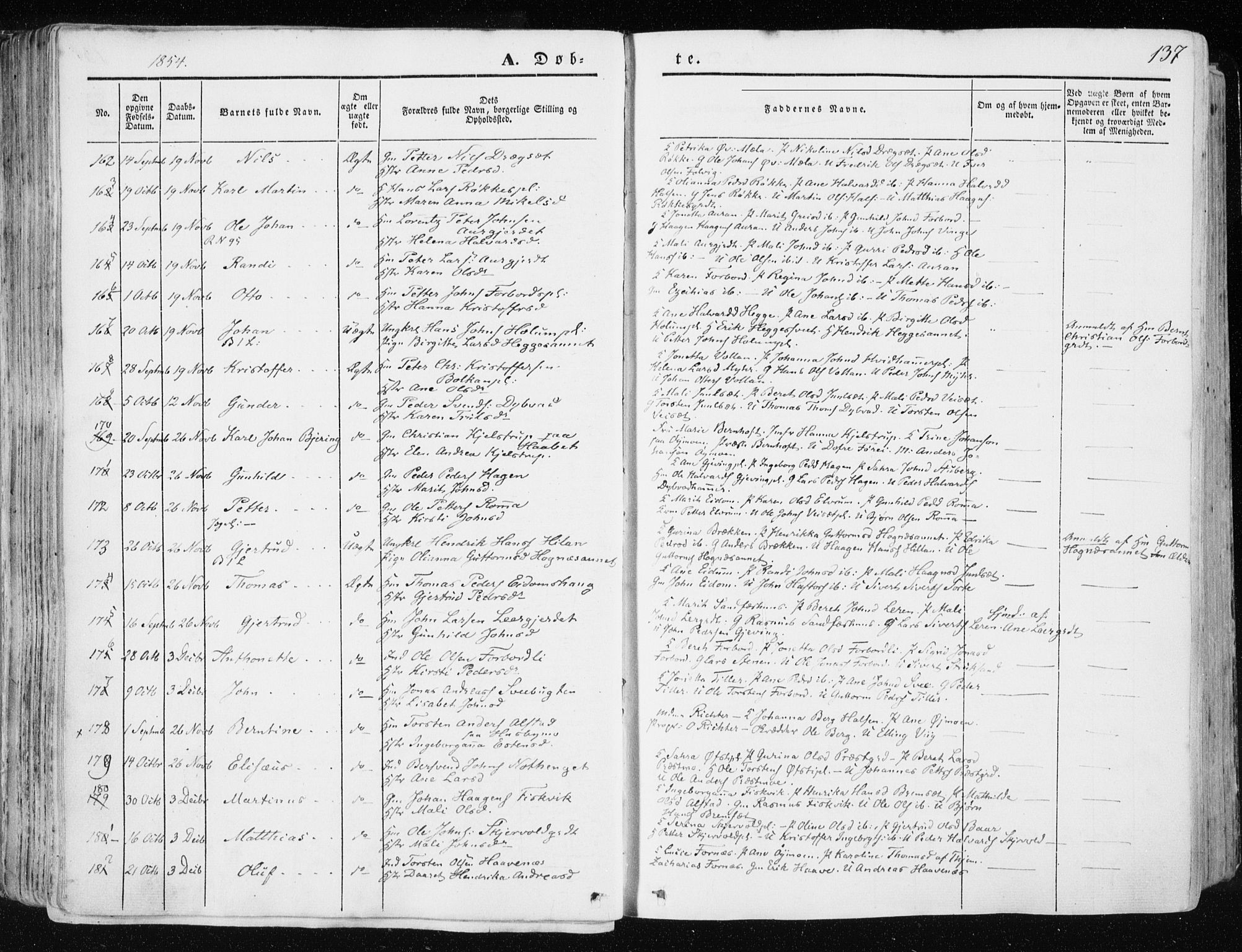 Ministerialprotokoller, klokkerbøker og fødselsregistre - Nord-Trøndelag, SAT/A-1458/709/L0074: Parish register (official) no. 709A14, 1845-1858, p. 137